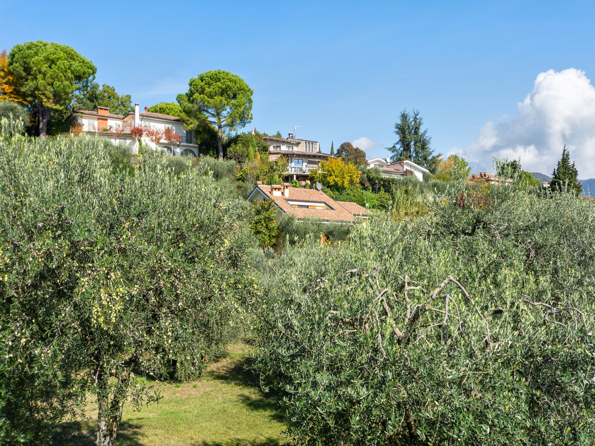   Villa Pozzol