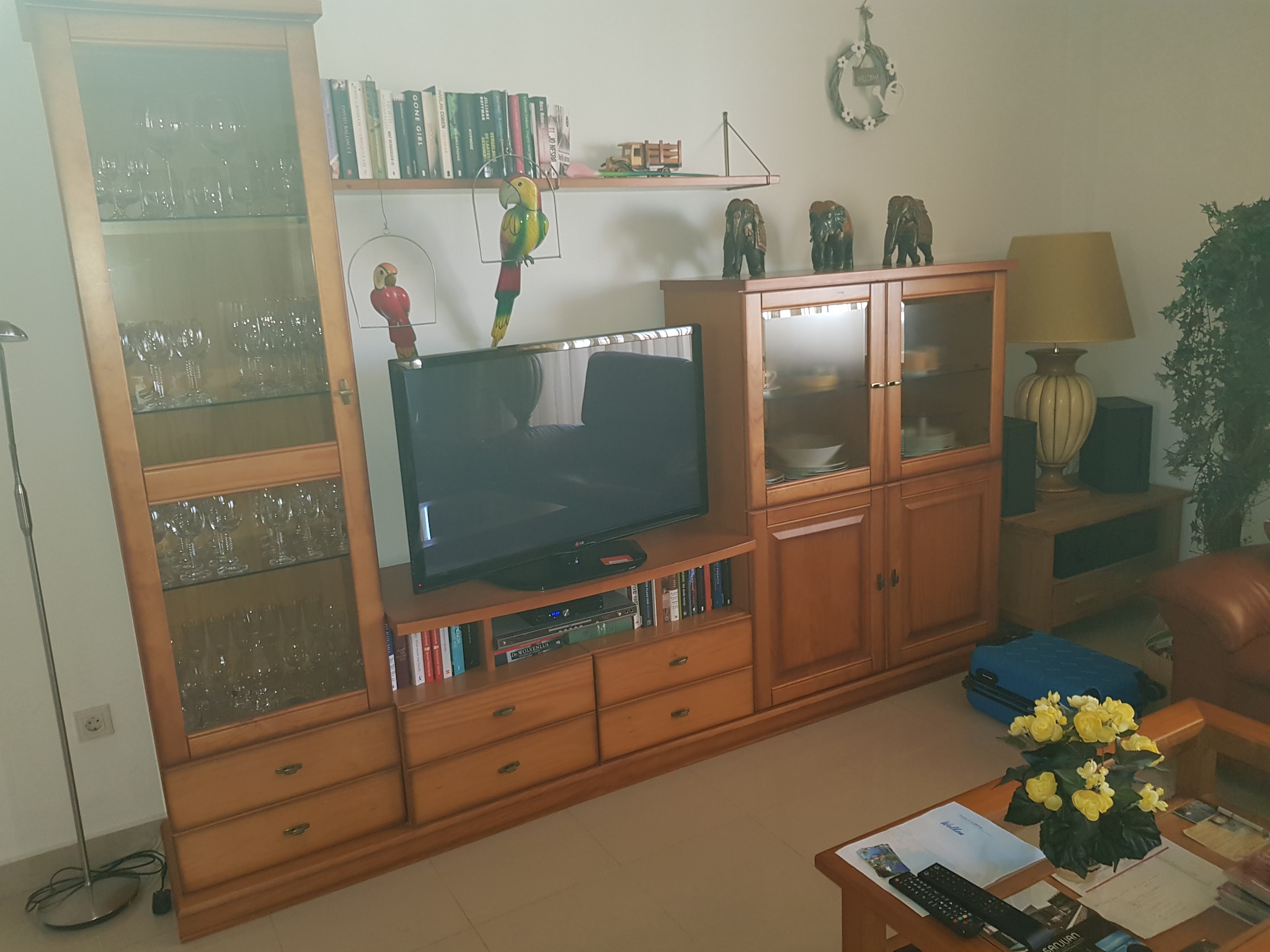 Apartment Cascadas de la Marina