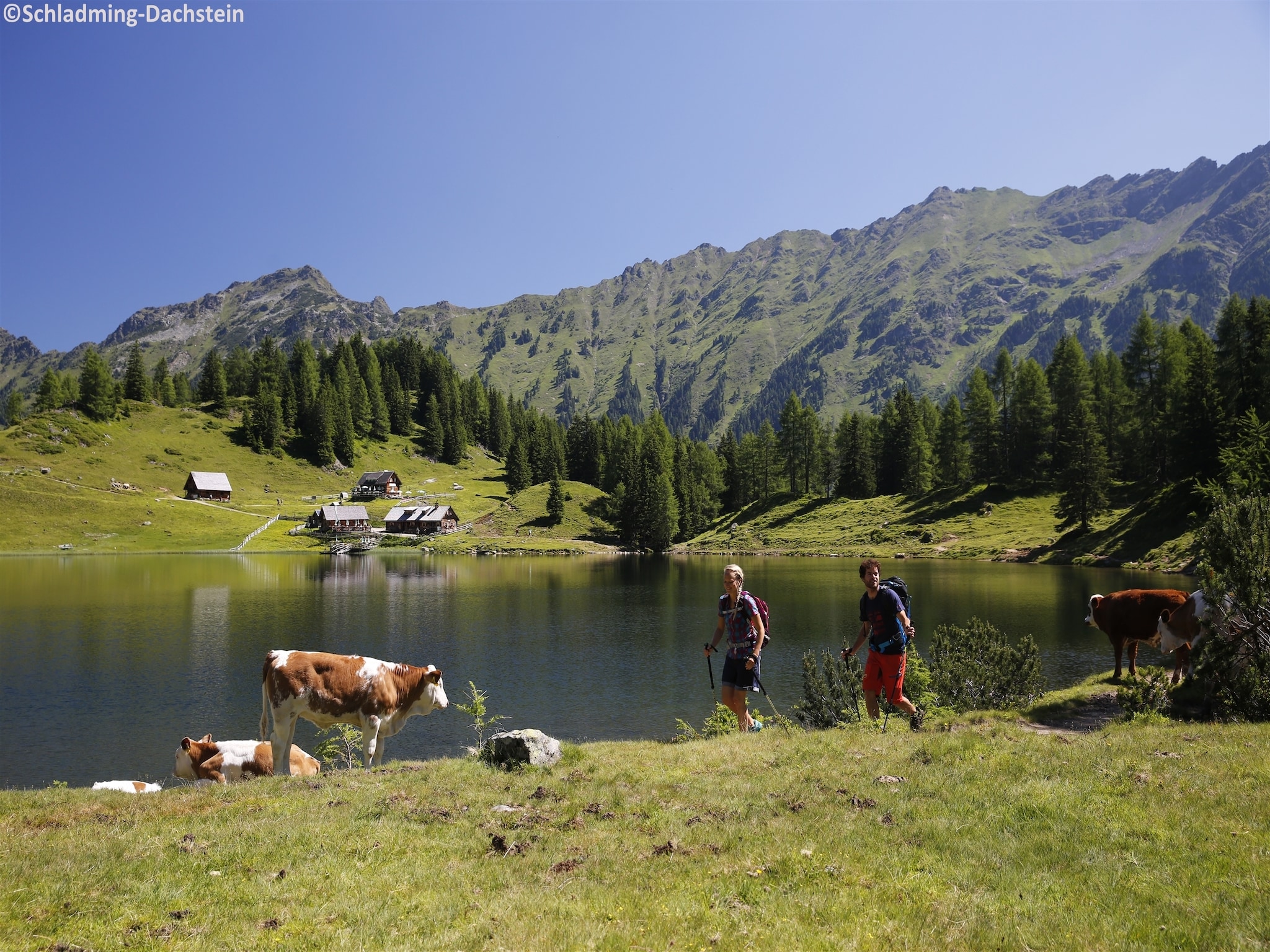 Leilighet Alpenrock Schladming 3