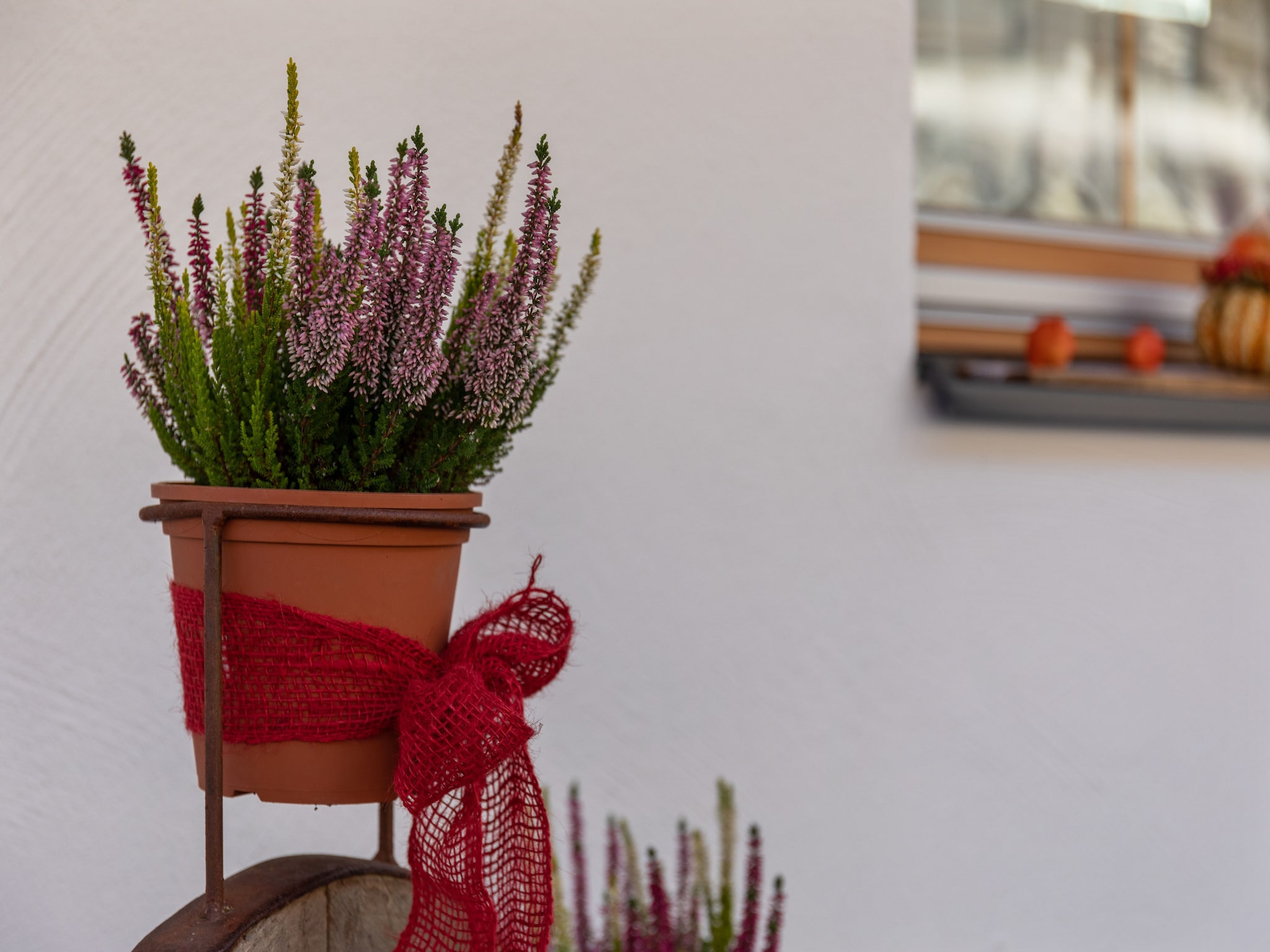 Leilighet Salzach Appartement Wald