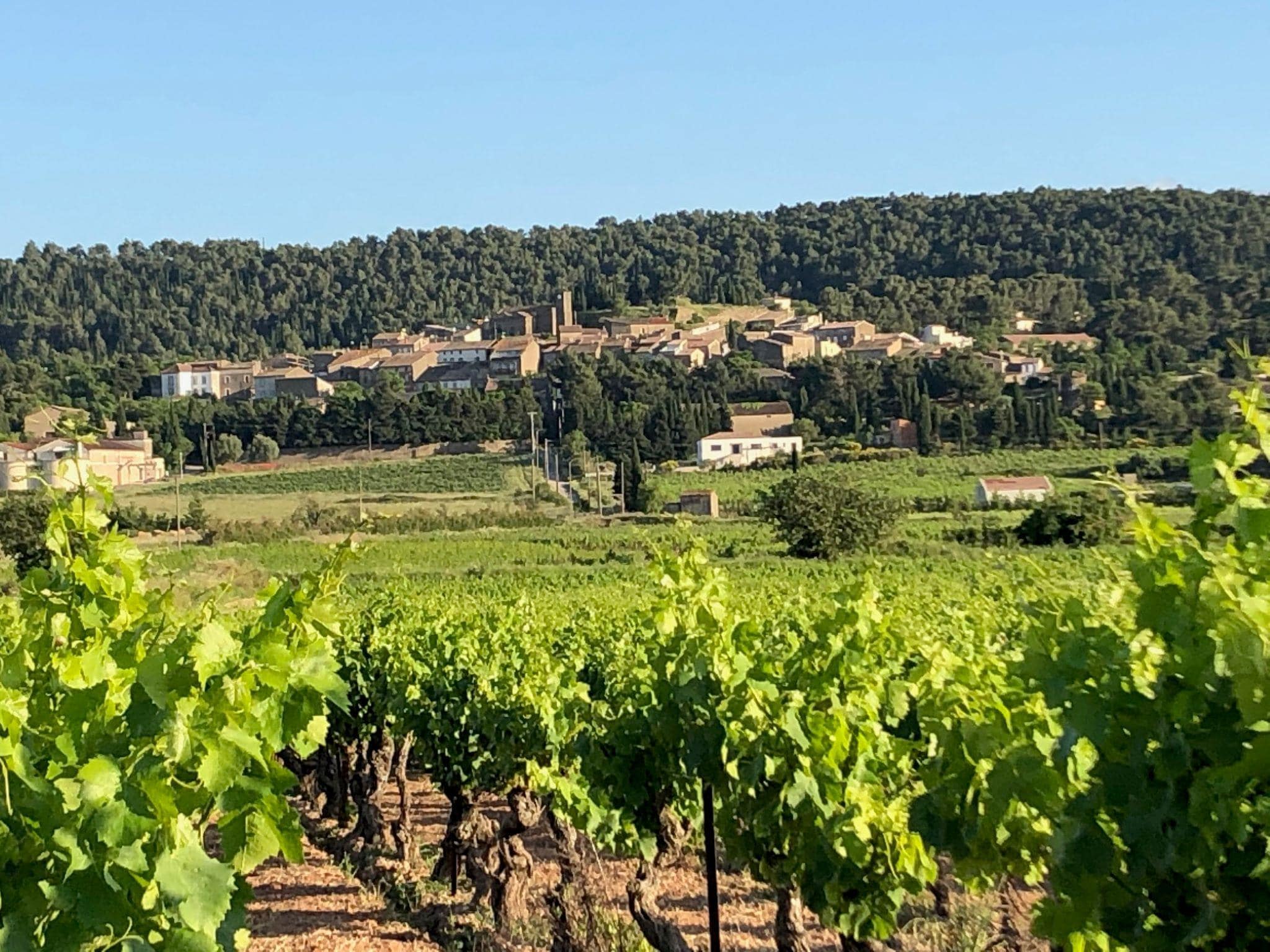 Ferienhaus Villa Le Cabernet