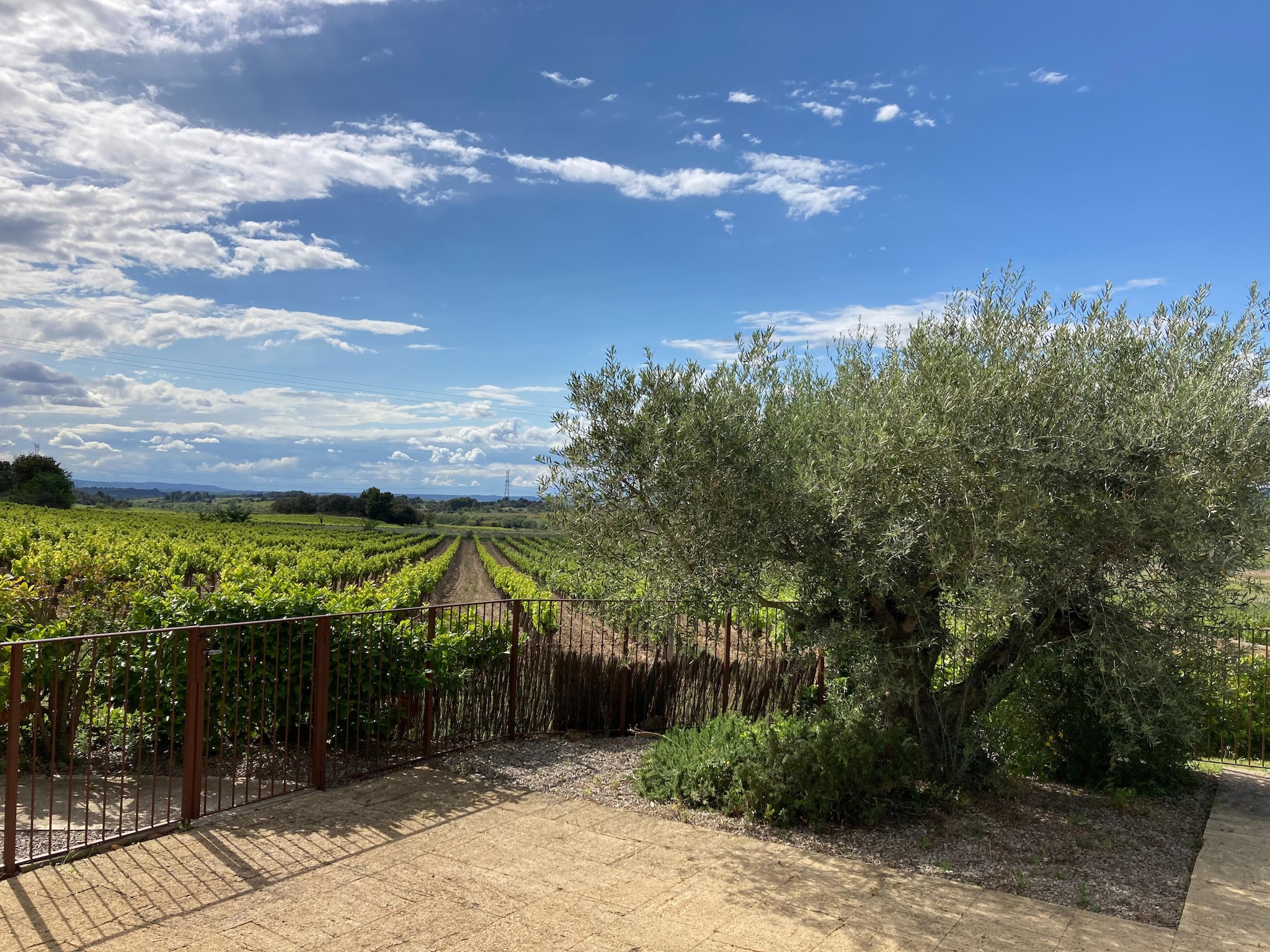 Ferienhaus Villa Le Carignan