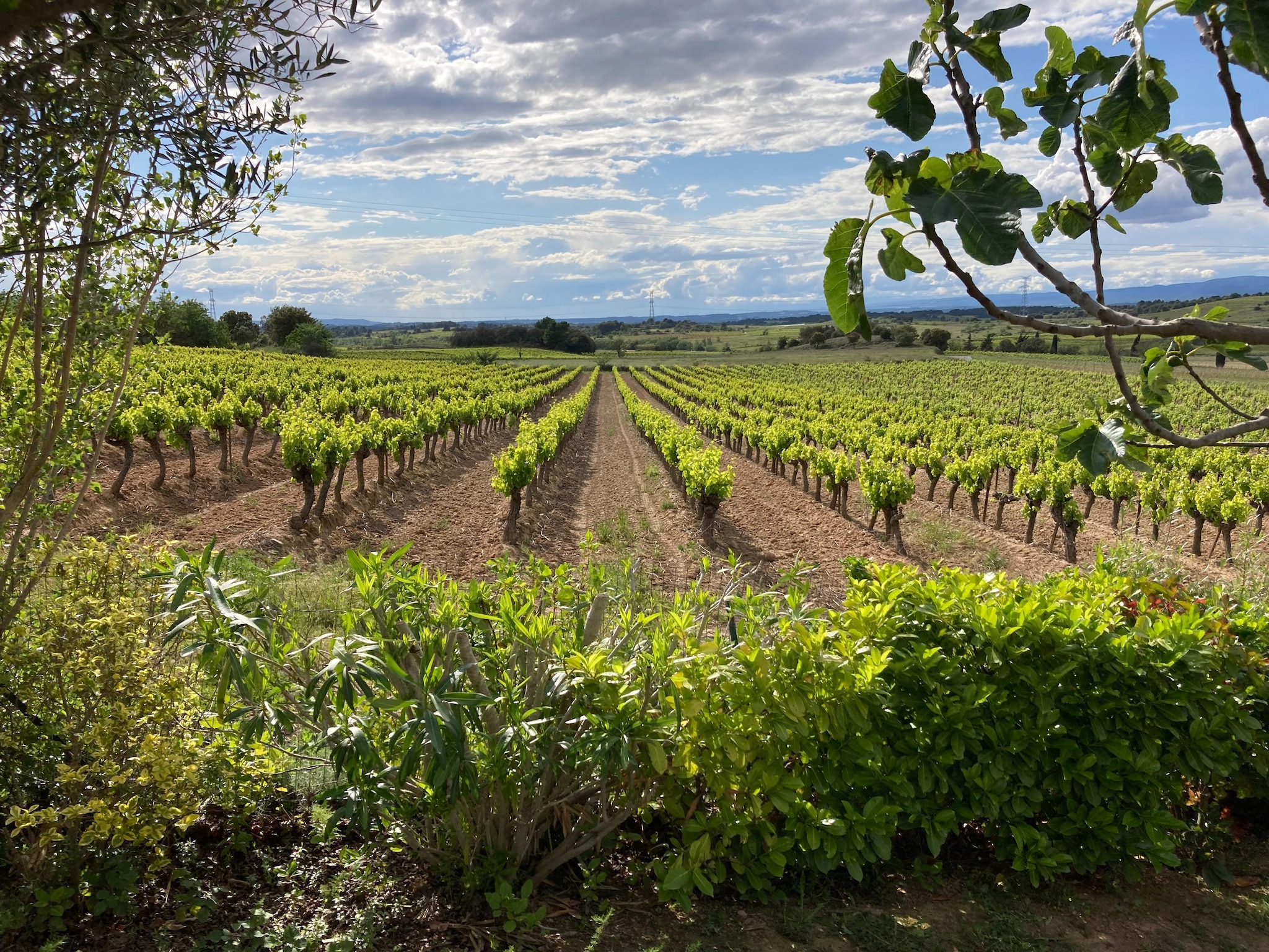 Ferienhaus Villa Le Carignan