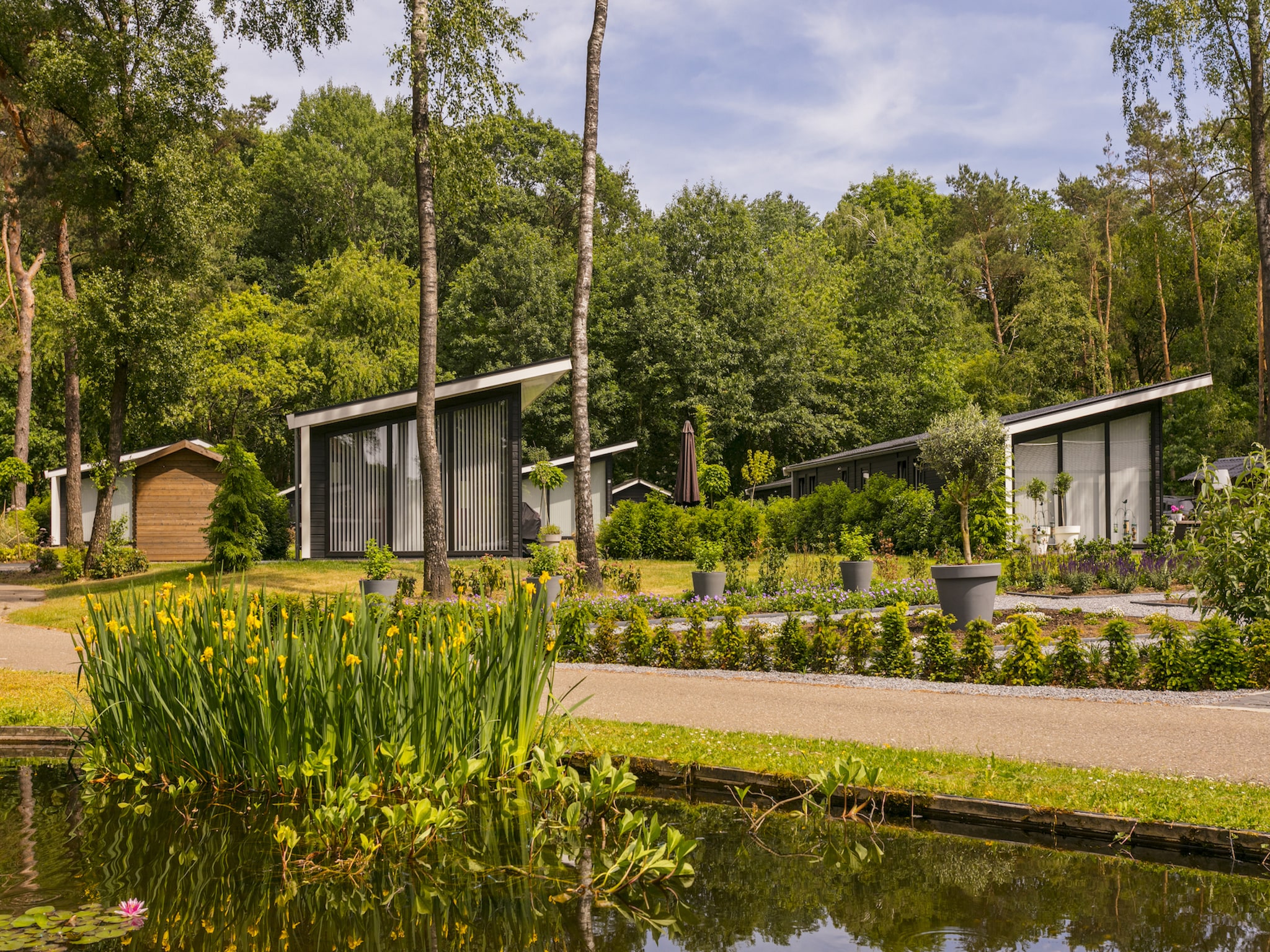 Vakantiehuis Bospark Markelo 3