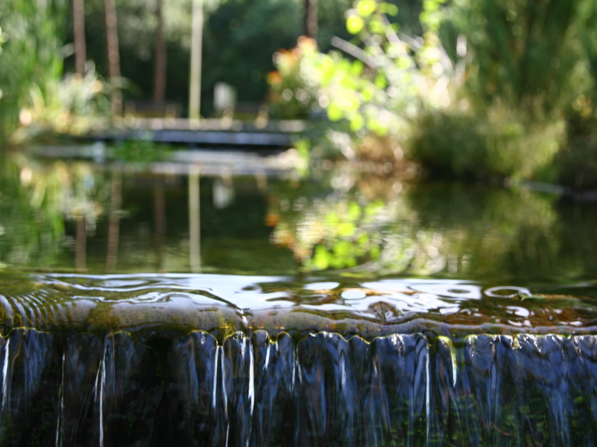 Vakantiehuis Bospark Markelo 4