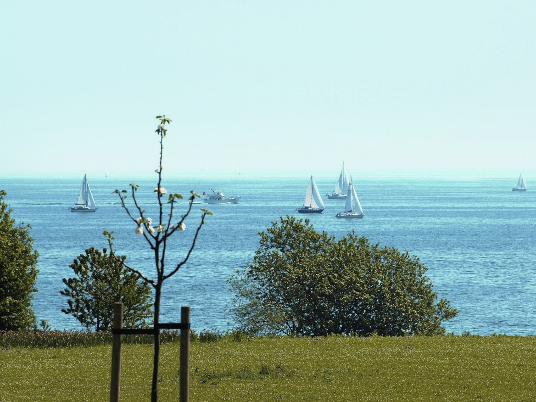   Hansapark Resort am Meer 6
