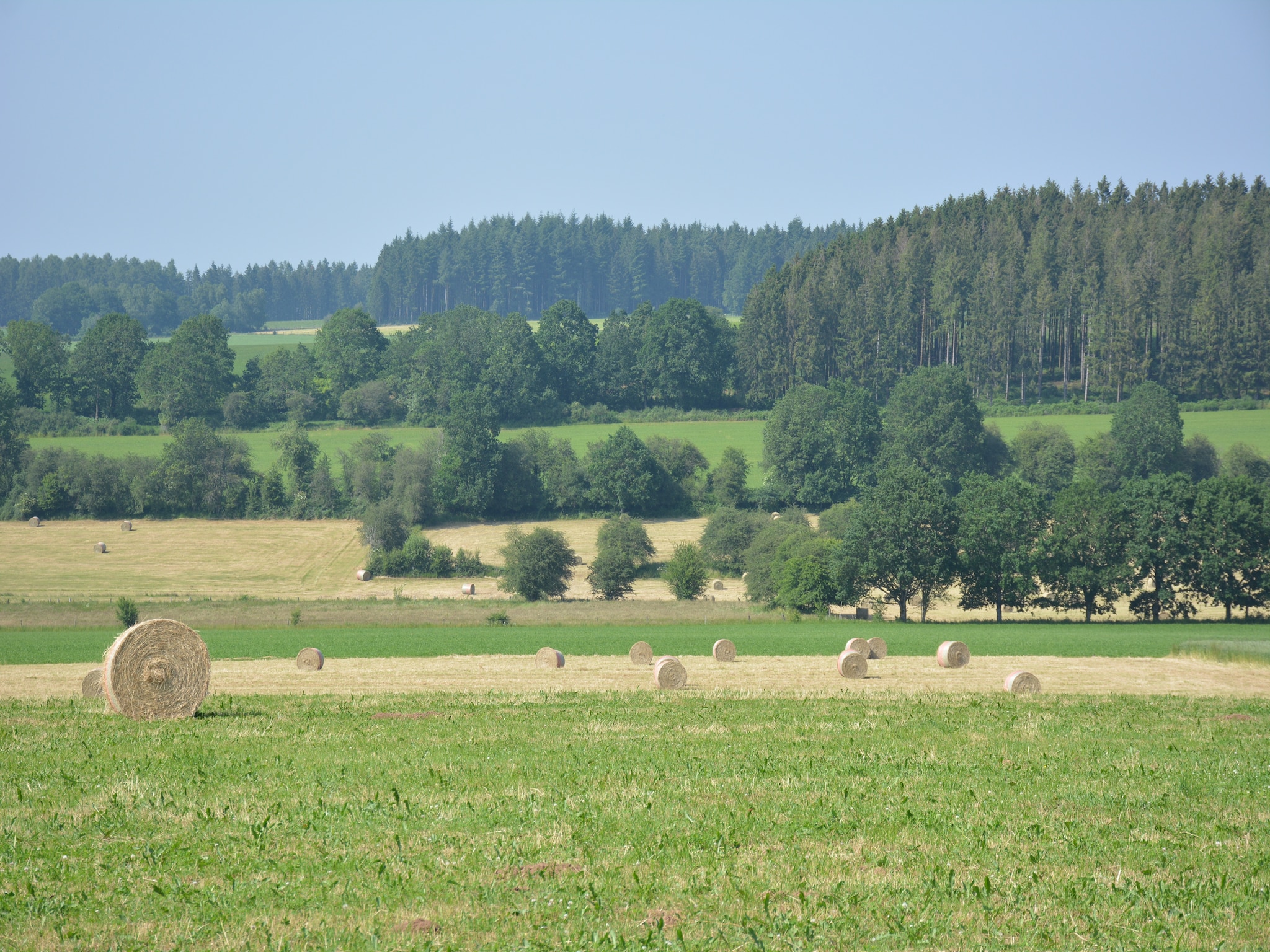   La Grange