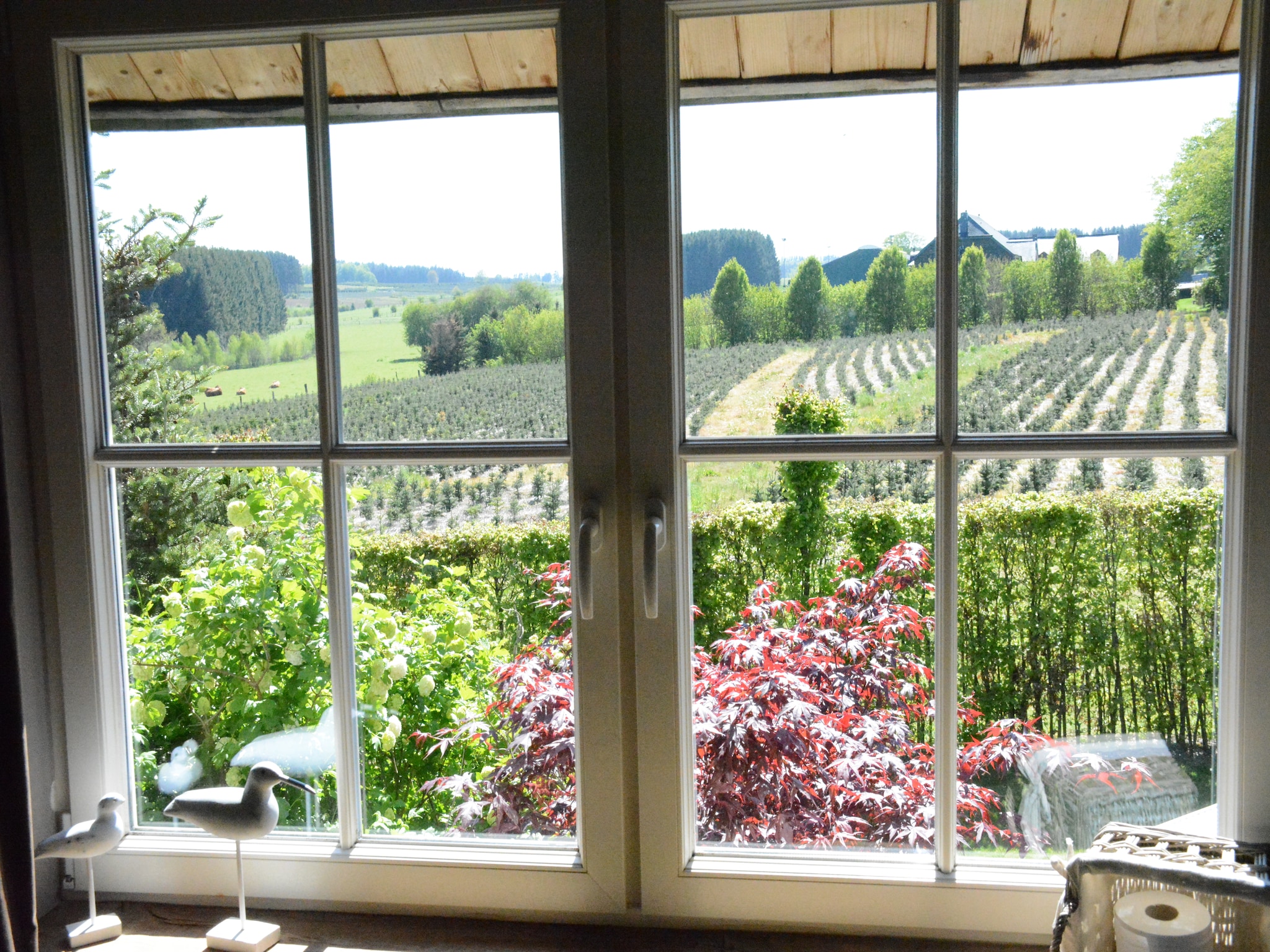 Ferienhaus La Pépinière