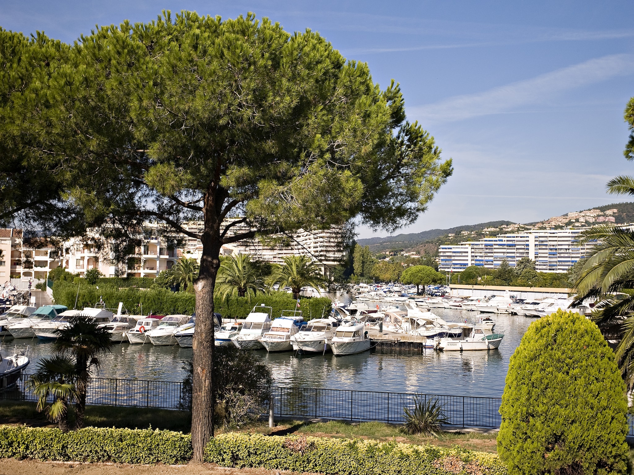 Apartment Carré Marine 1