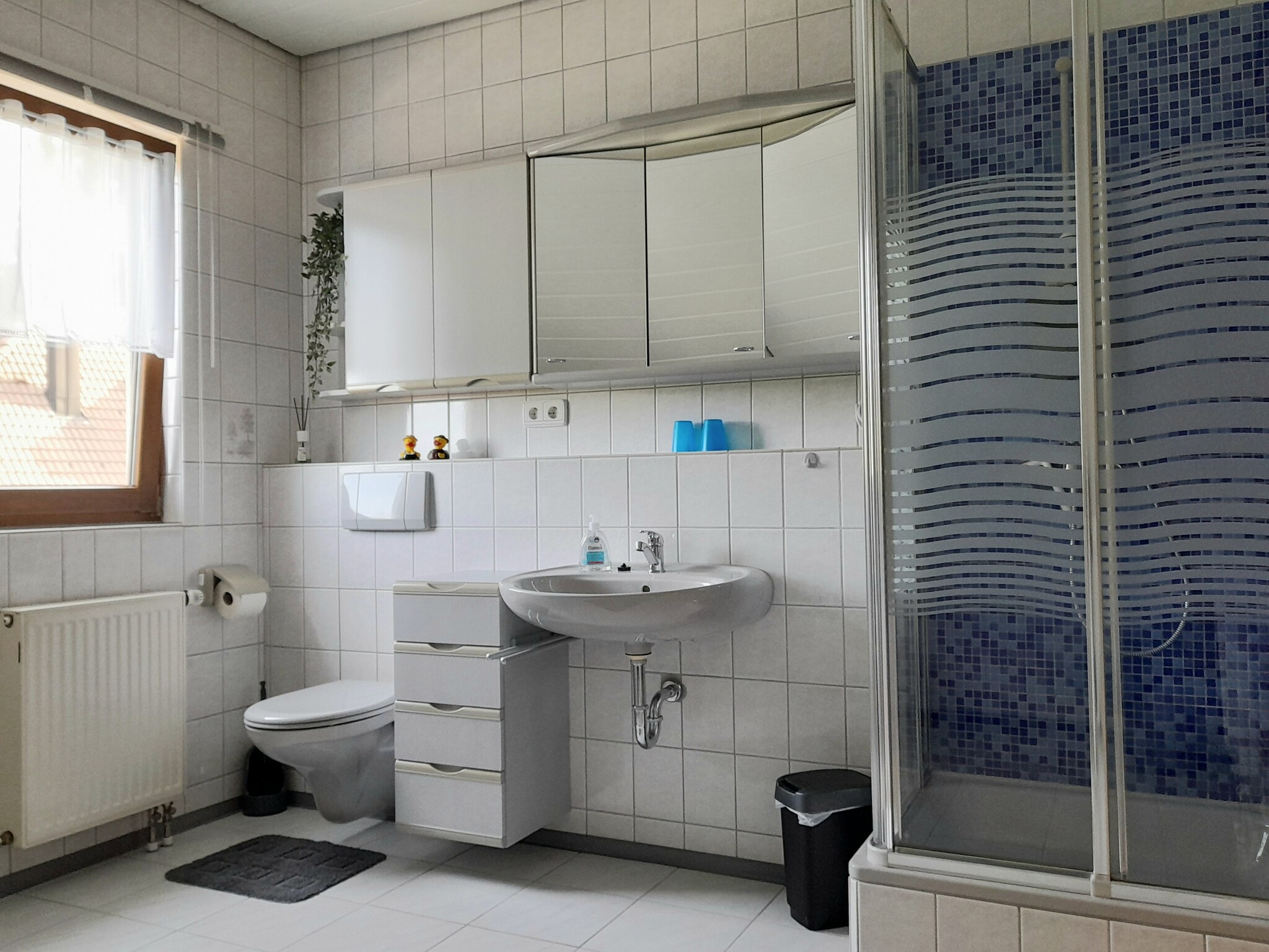Ferienwohnung Im Hotzenwald
