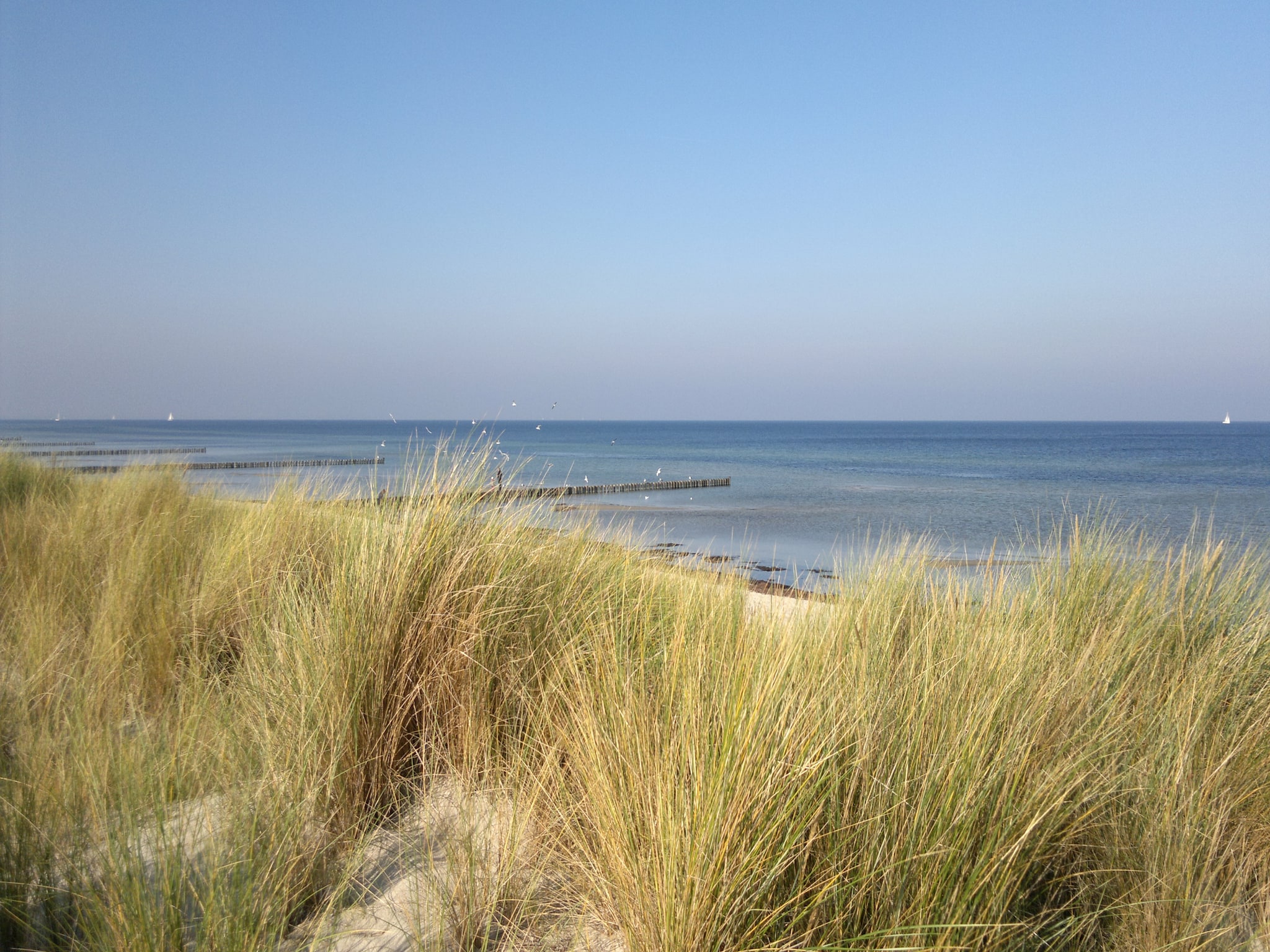 Vakantiehuis Bungalowanlage Gänseblümchen 3-5