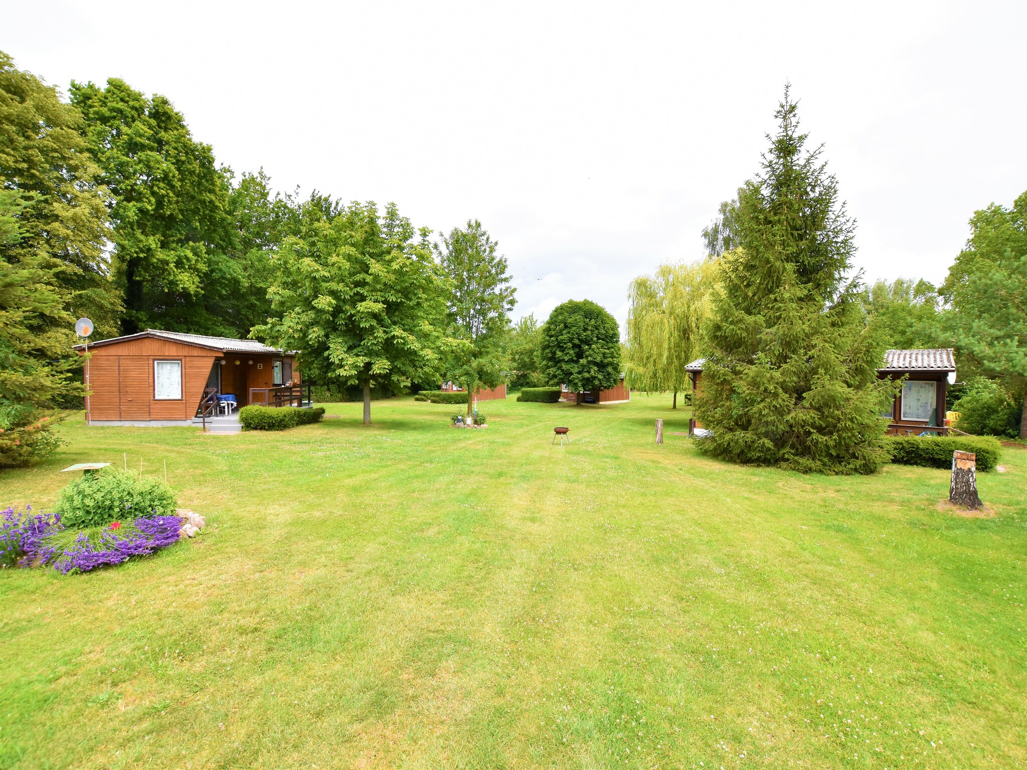 Ferienhaus Bungalowanlage Gänseblümchen 7