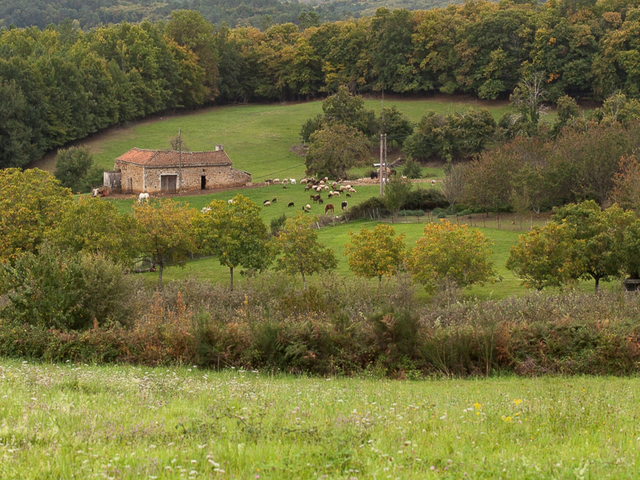   Le petit Nichoir