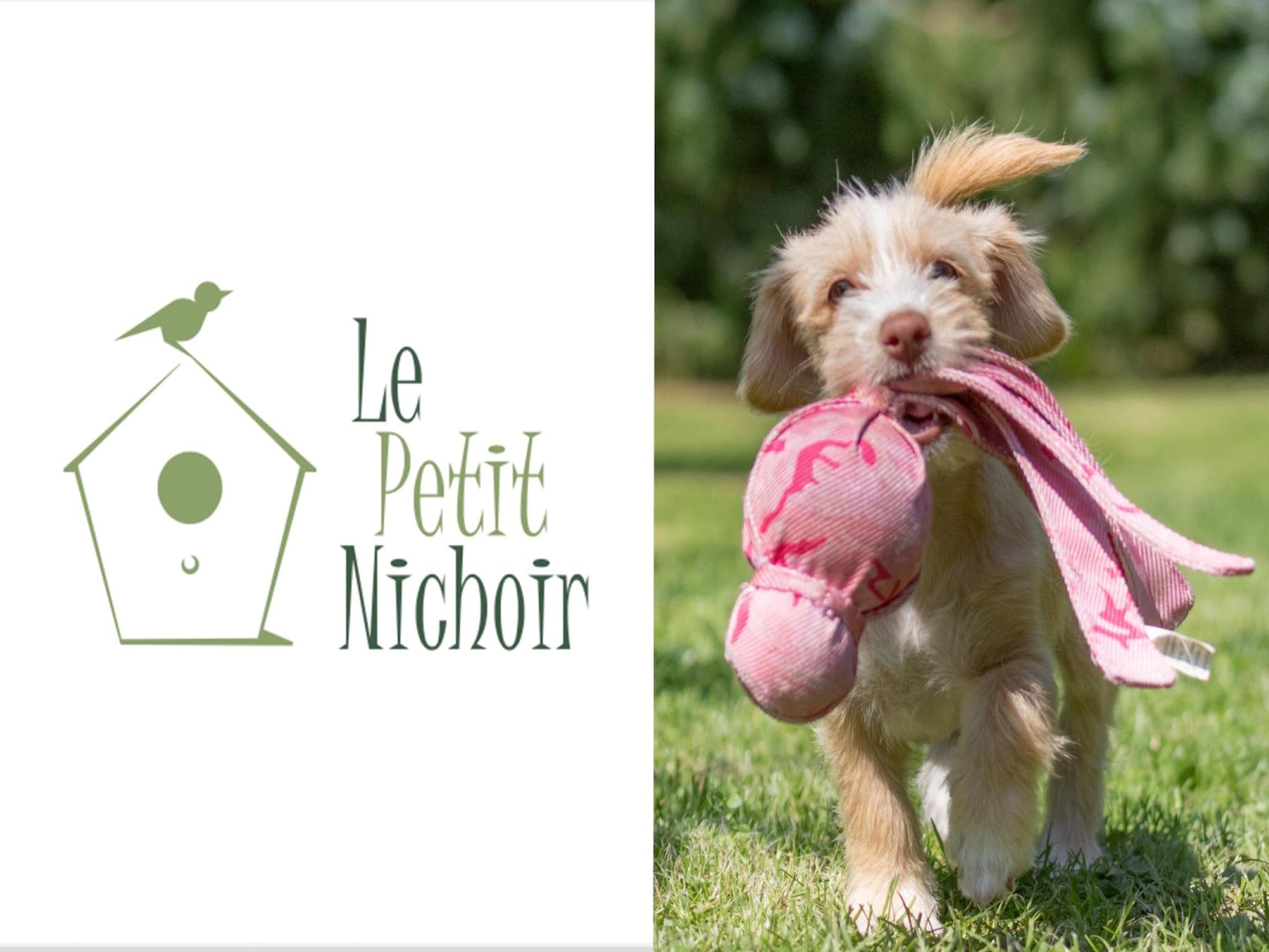   Le petit Nichoir