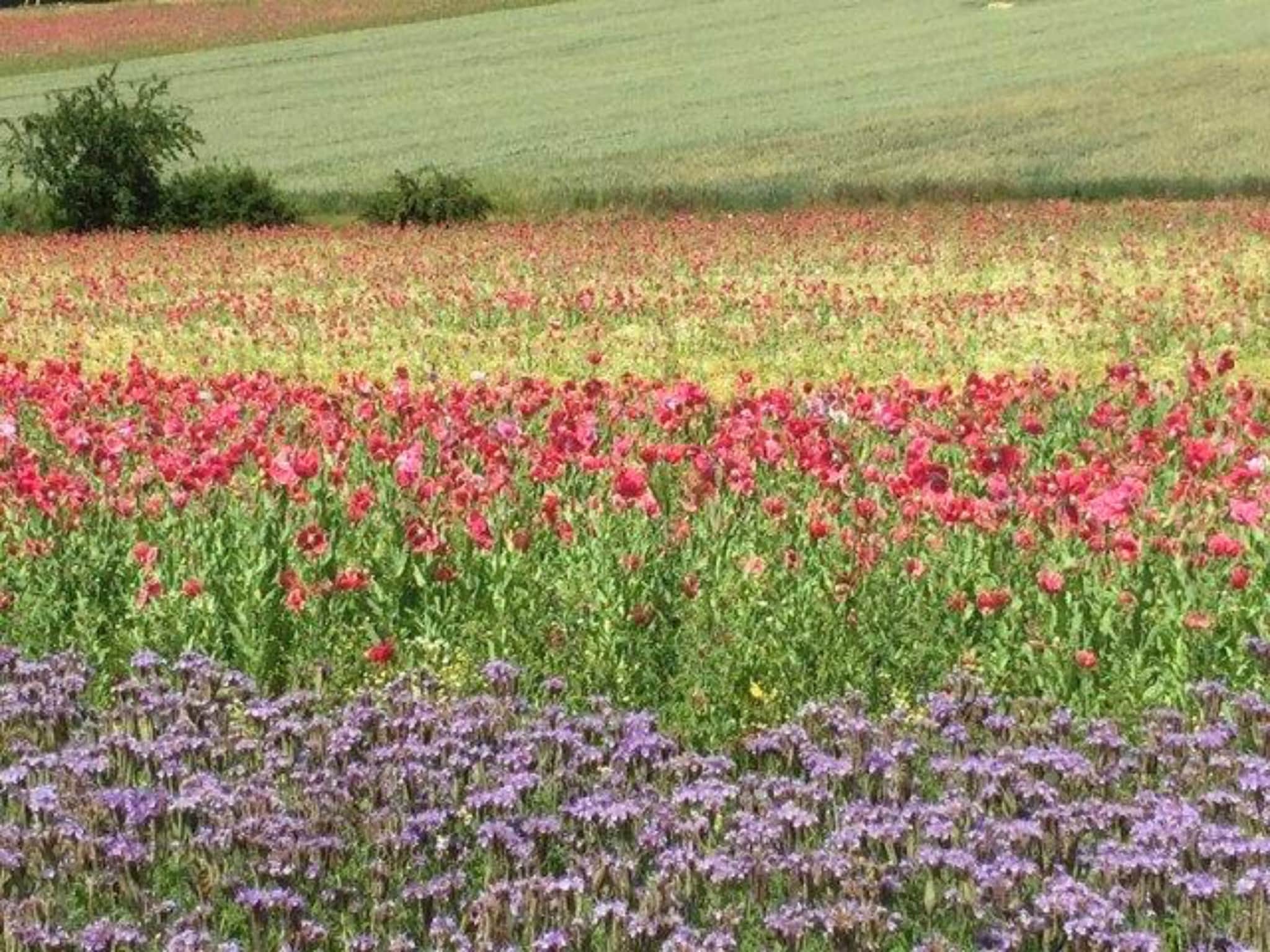   Großalmerode