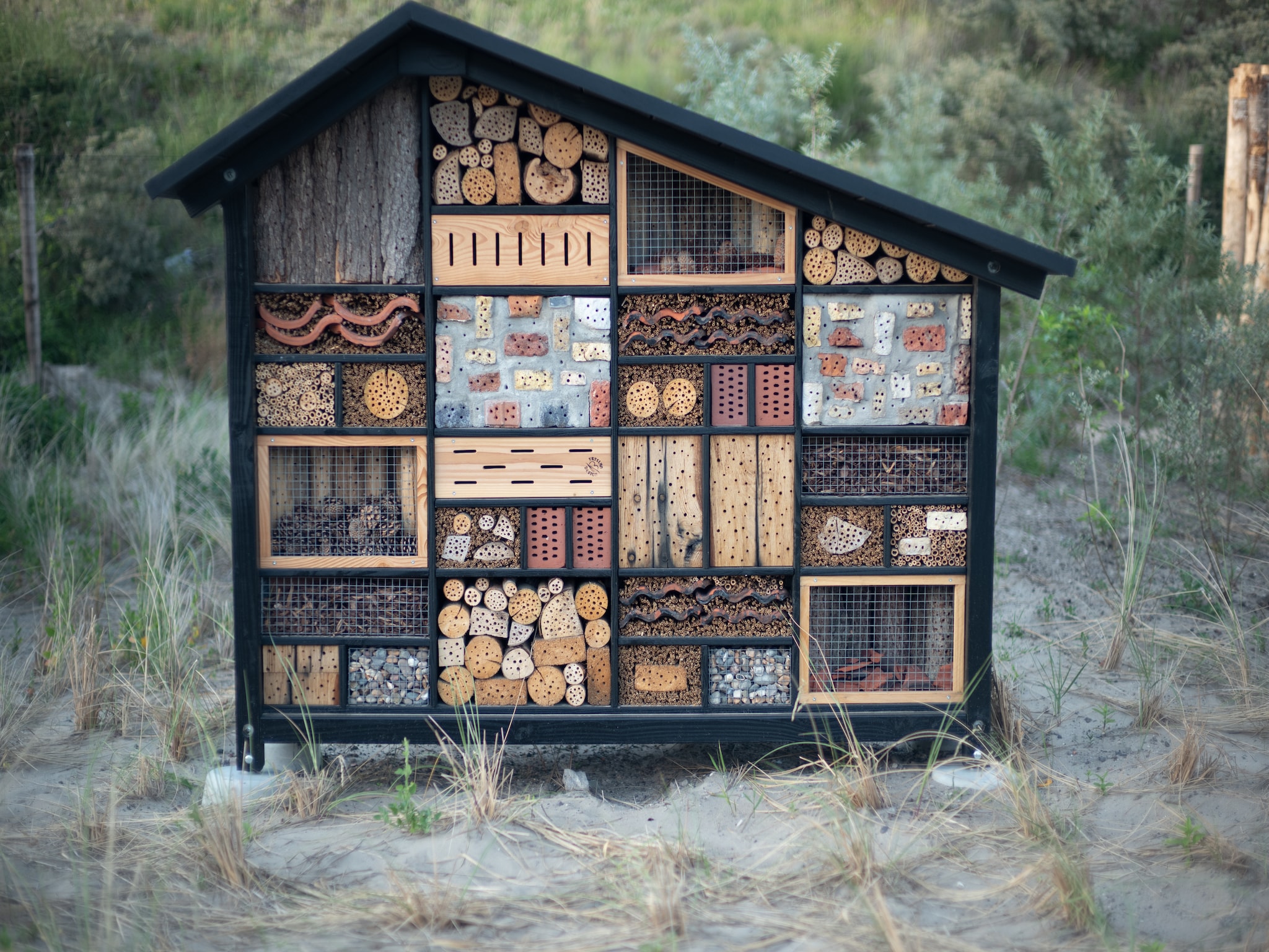   Sea Lodges Zandvoort 6