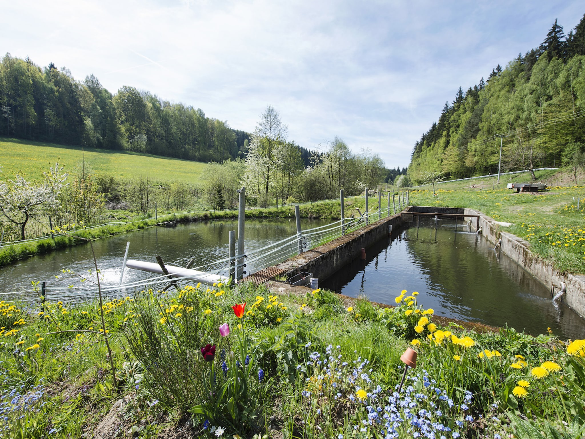 Appartement Weiherblasch I