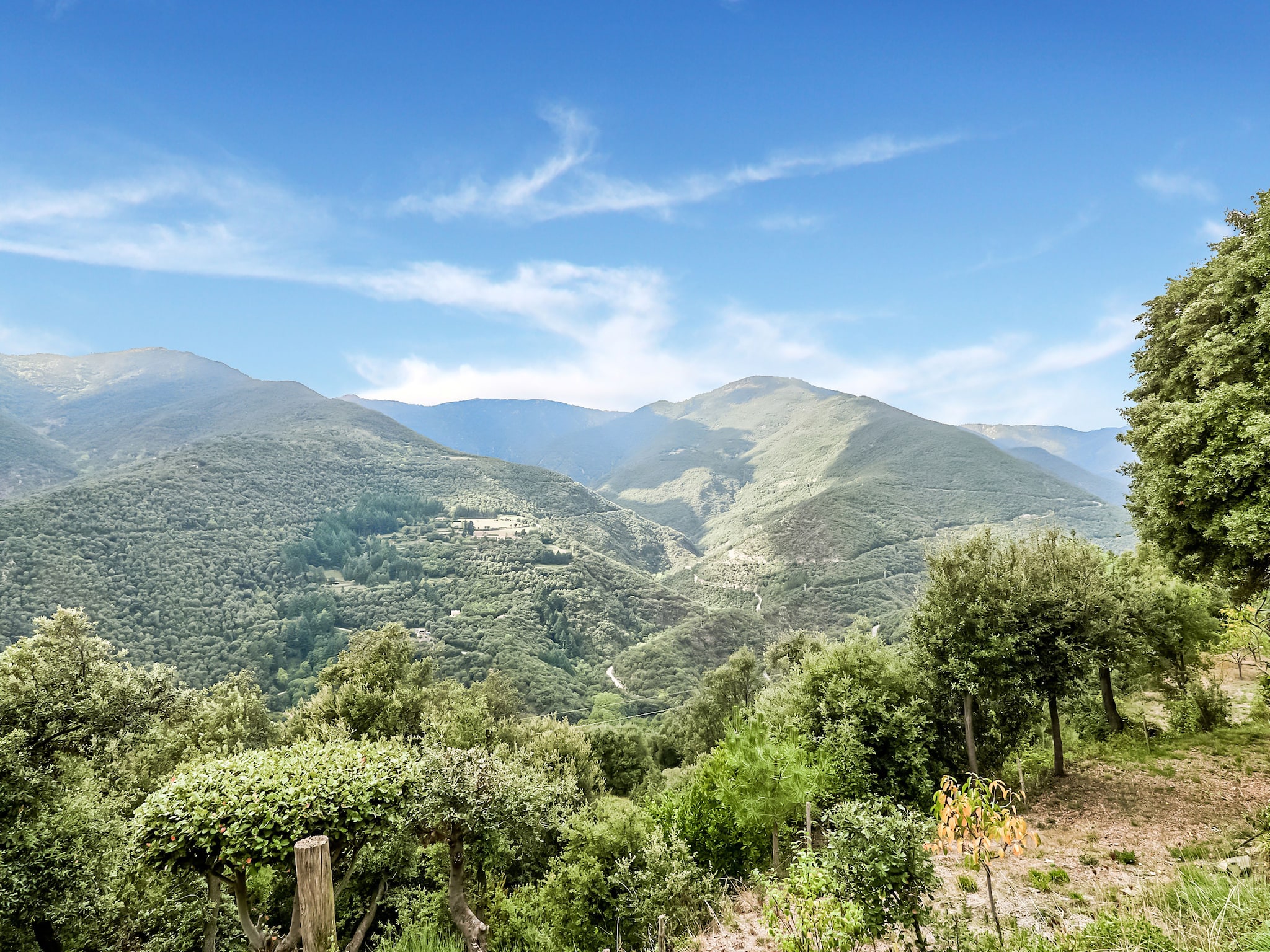   Can Pere Castanyer