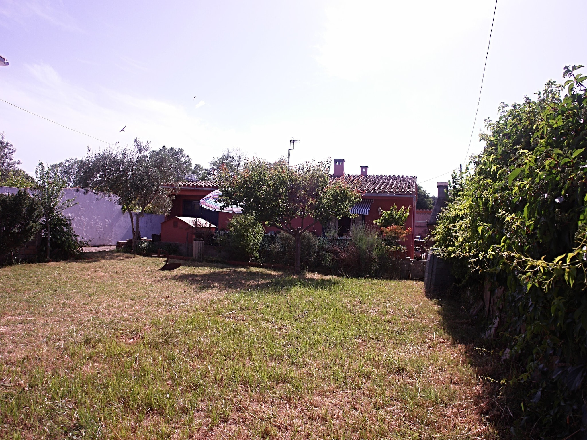   Casa Contento