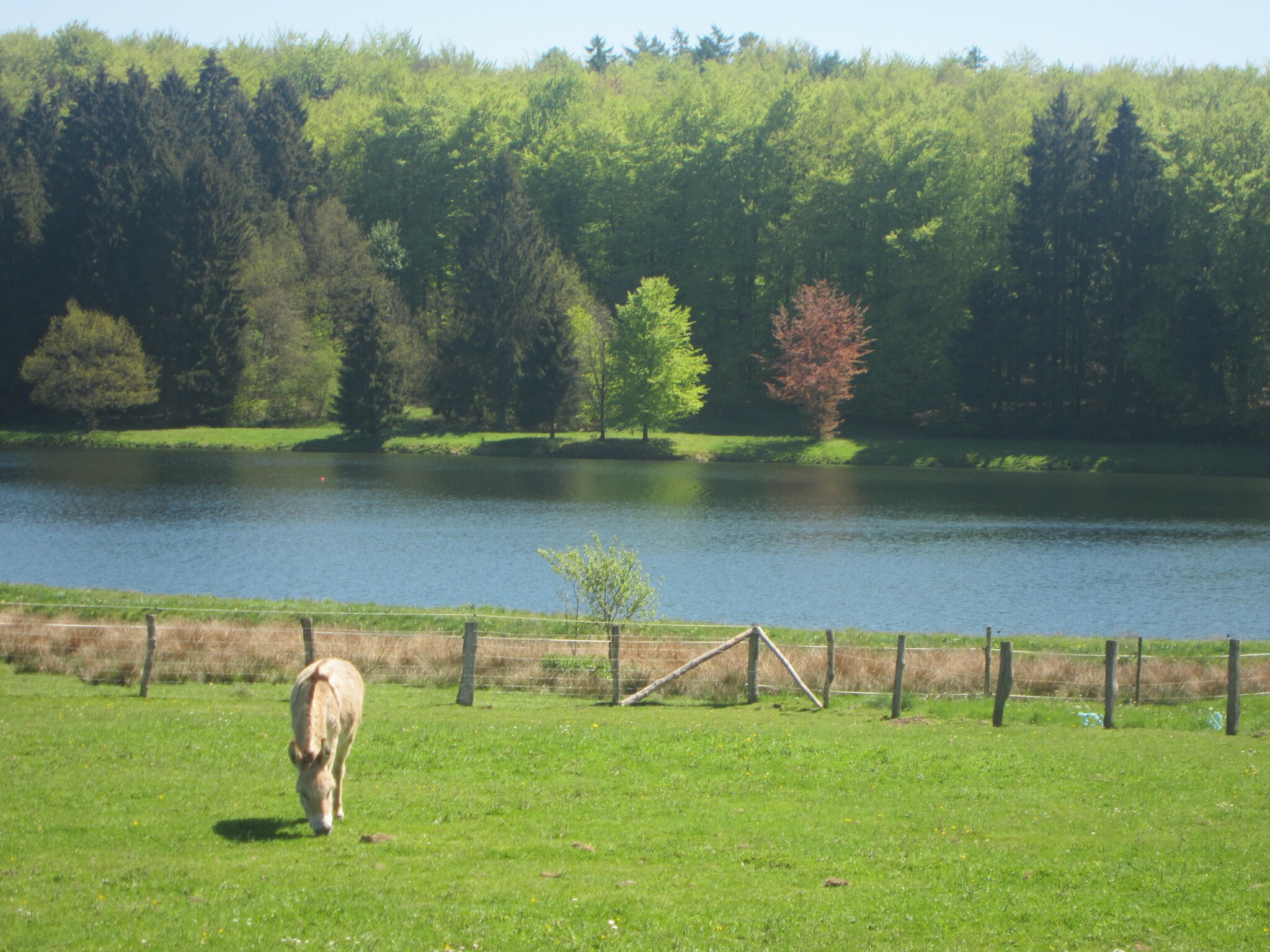 Vakantiehuis Le Chalet Likthuus