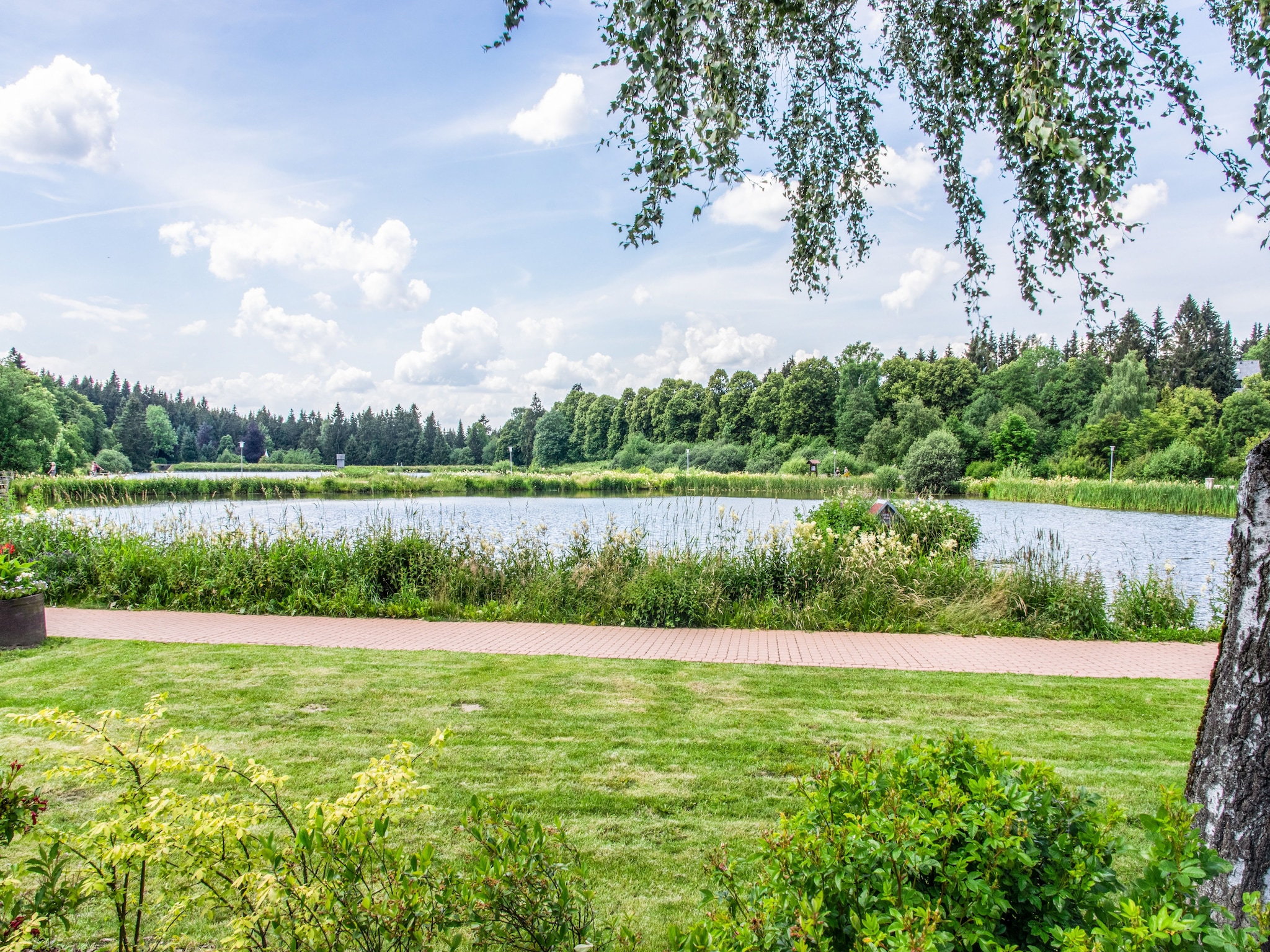 Ferienwohnung Hahnenklee 612 - Bergseite