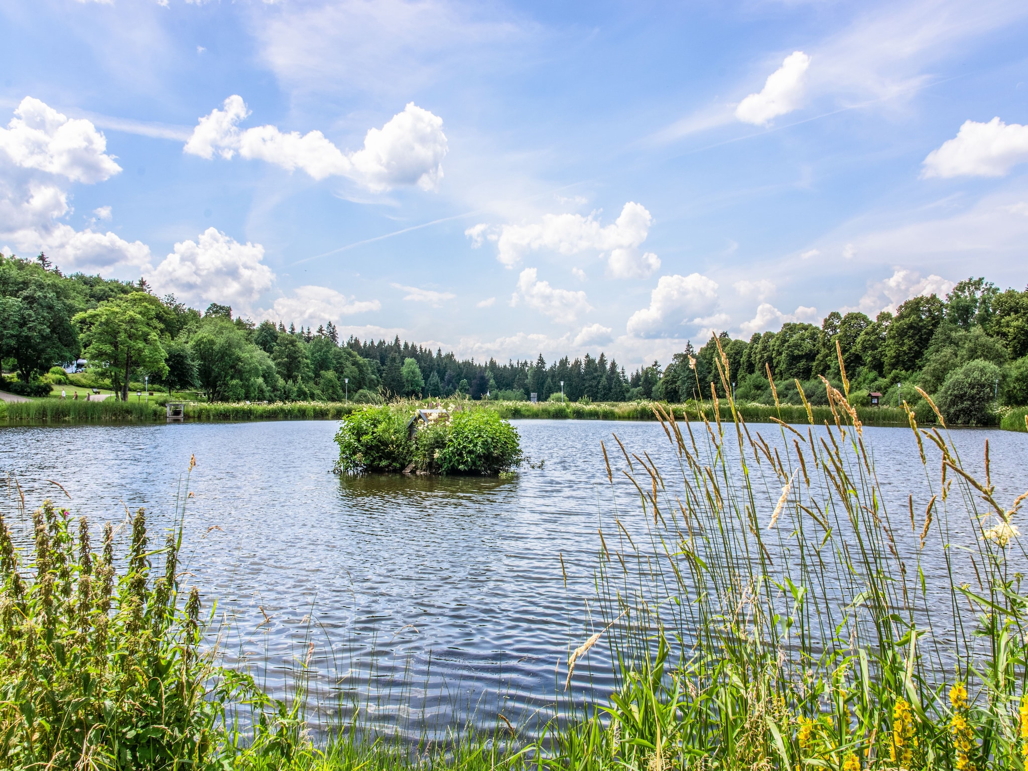 Ferienwohnung Hahnenklee 612 - Bergseite
