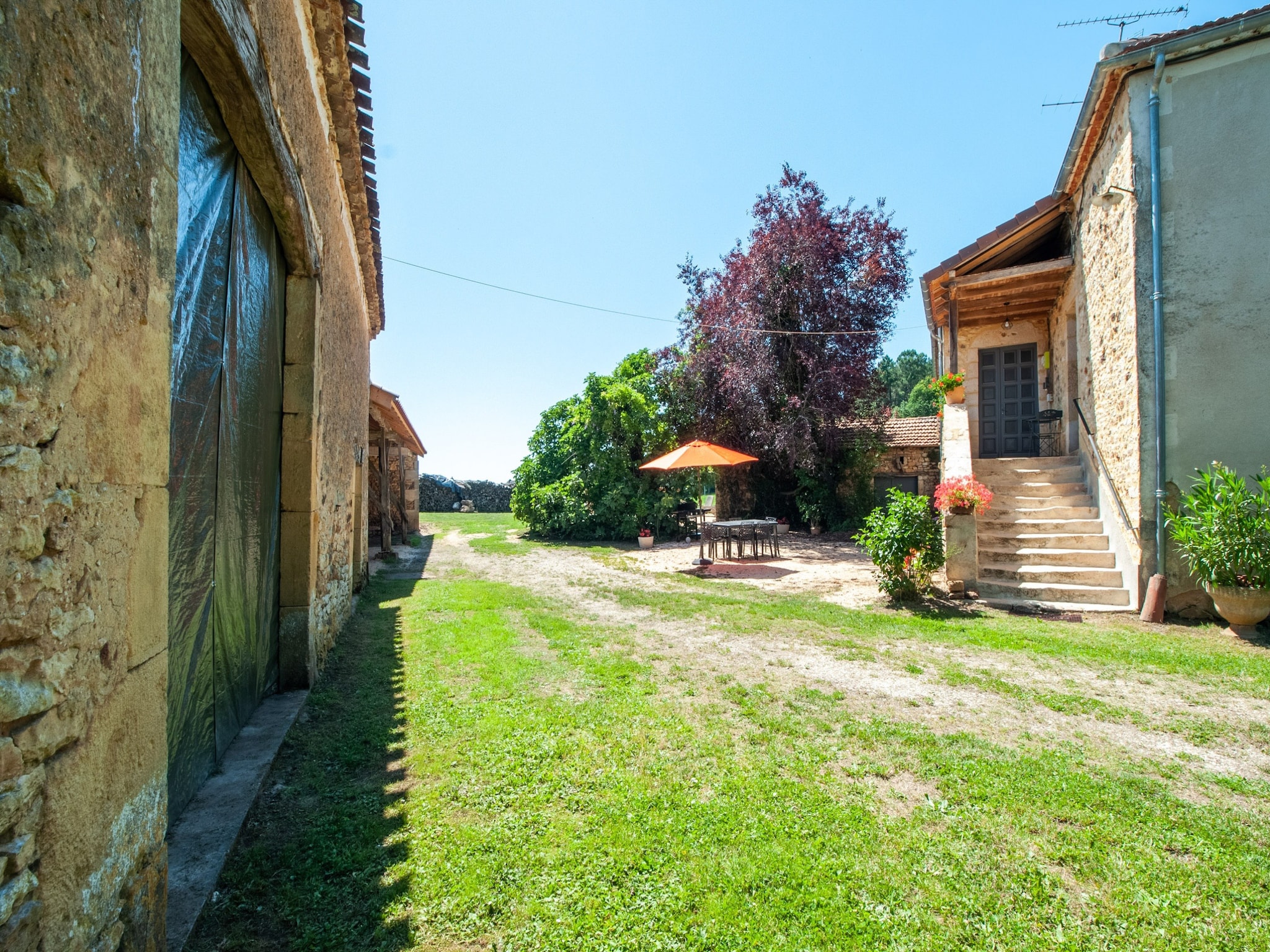   La maison d'Aléa