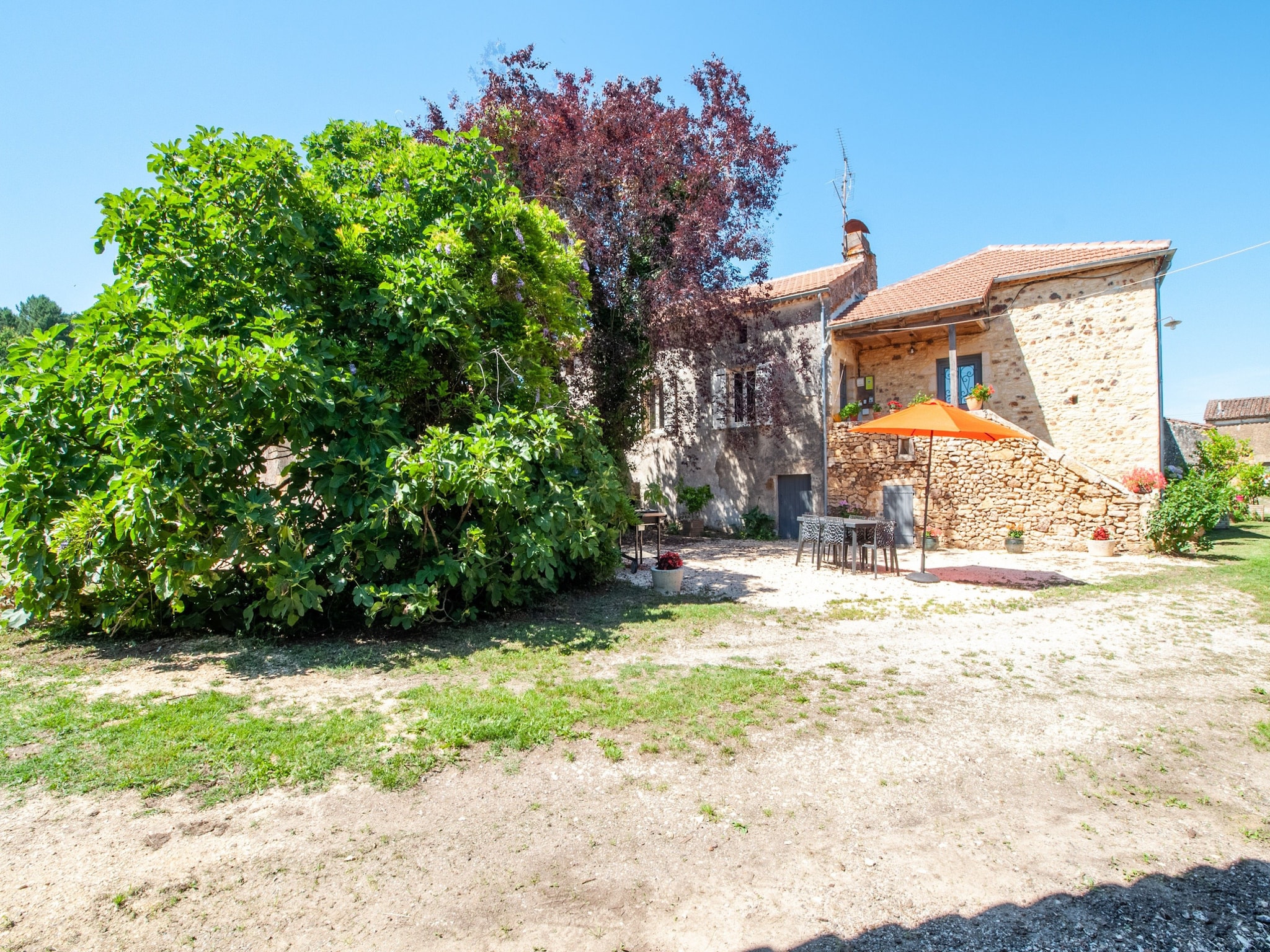   La maison d'Aléa