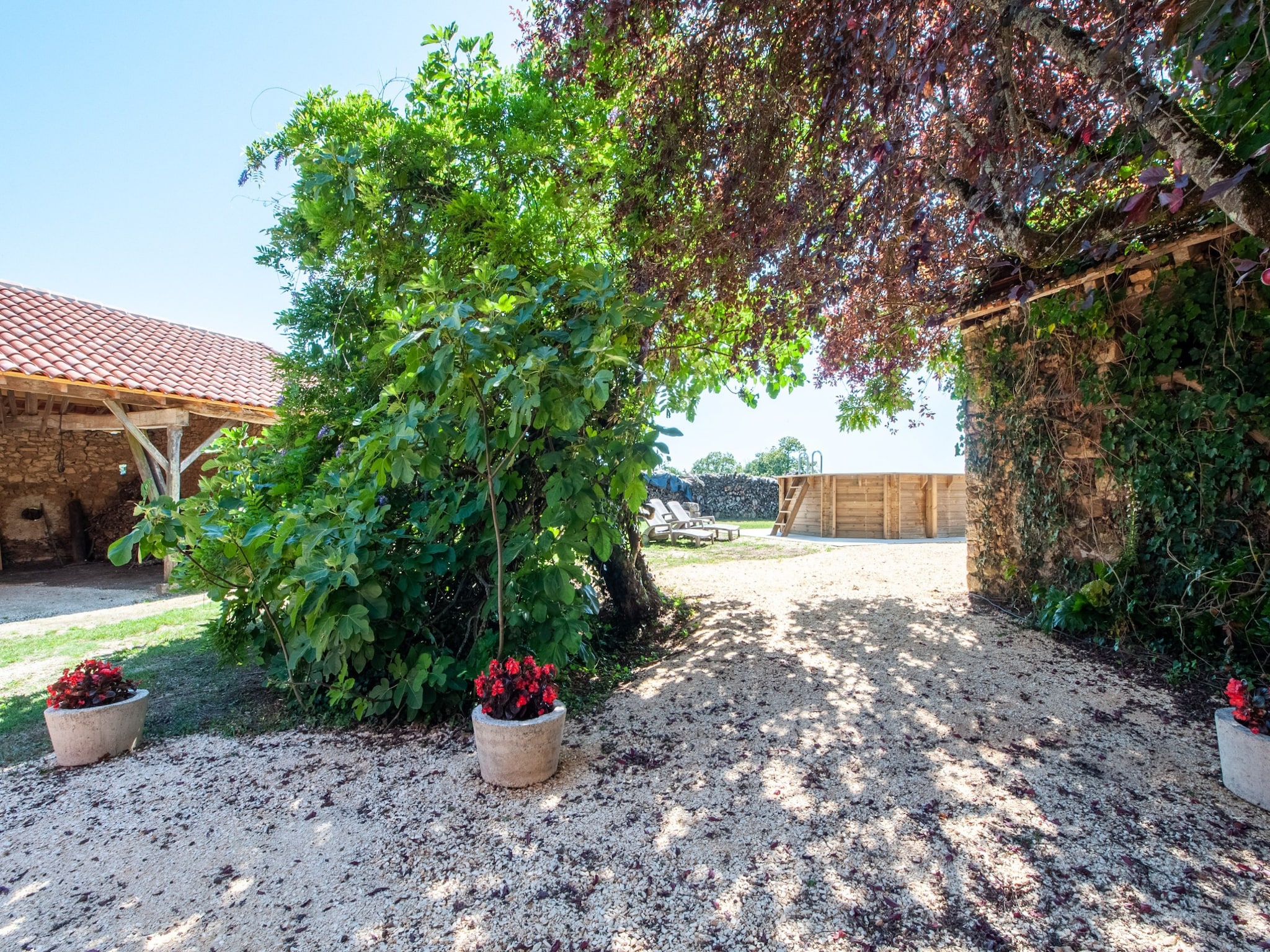  La maison d'Aléa