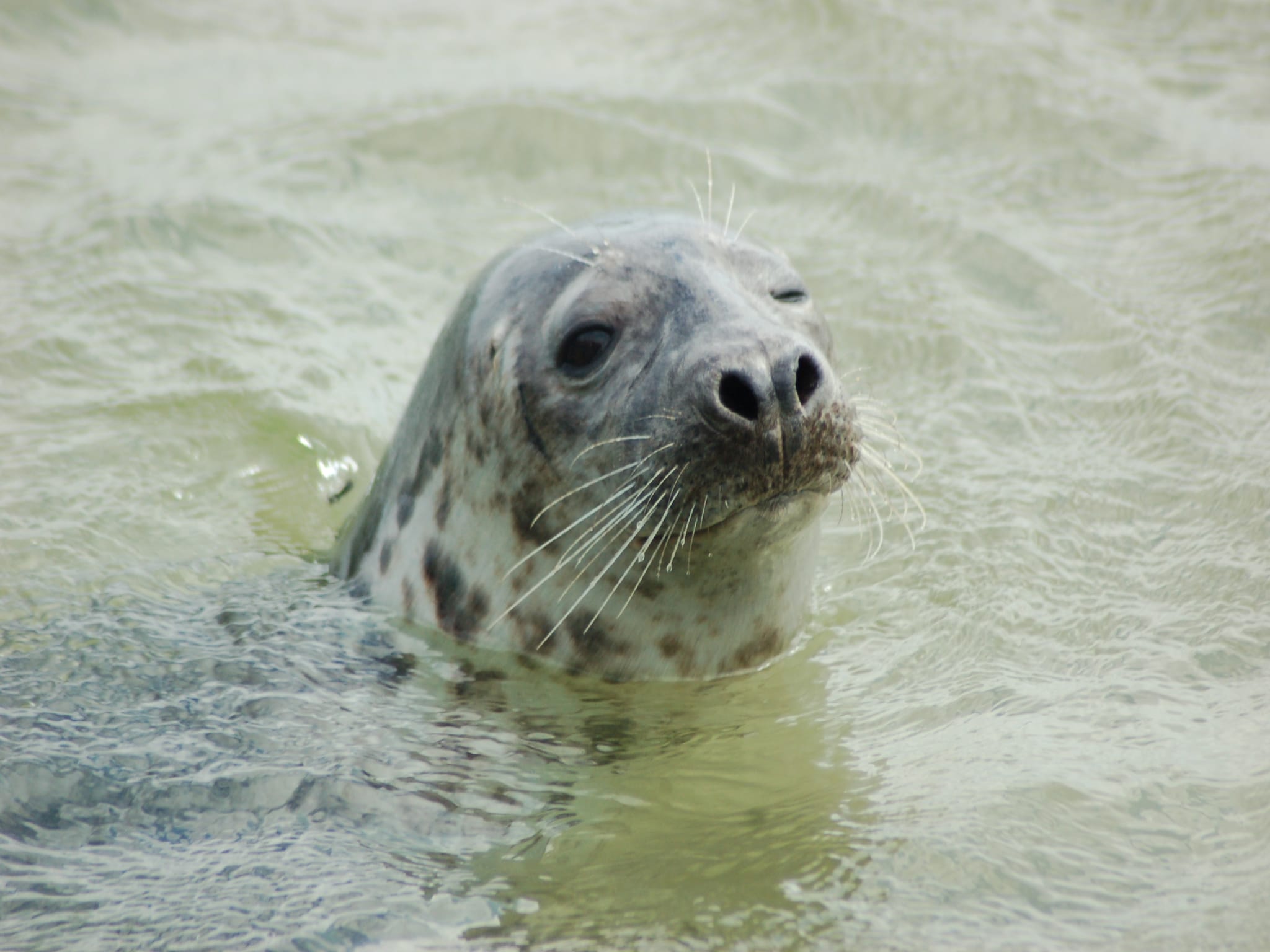   Kustpark Texel 12