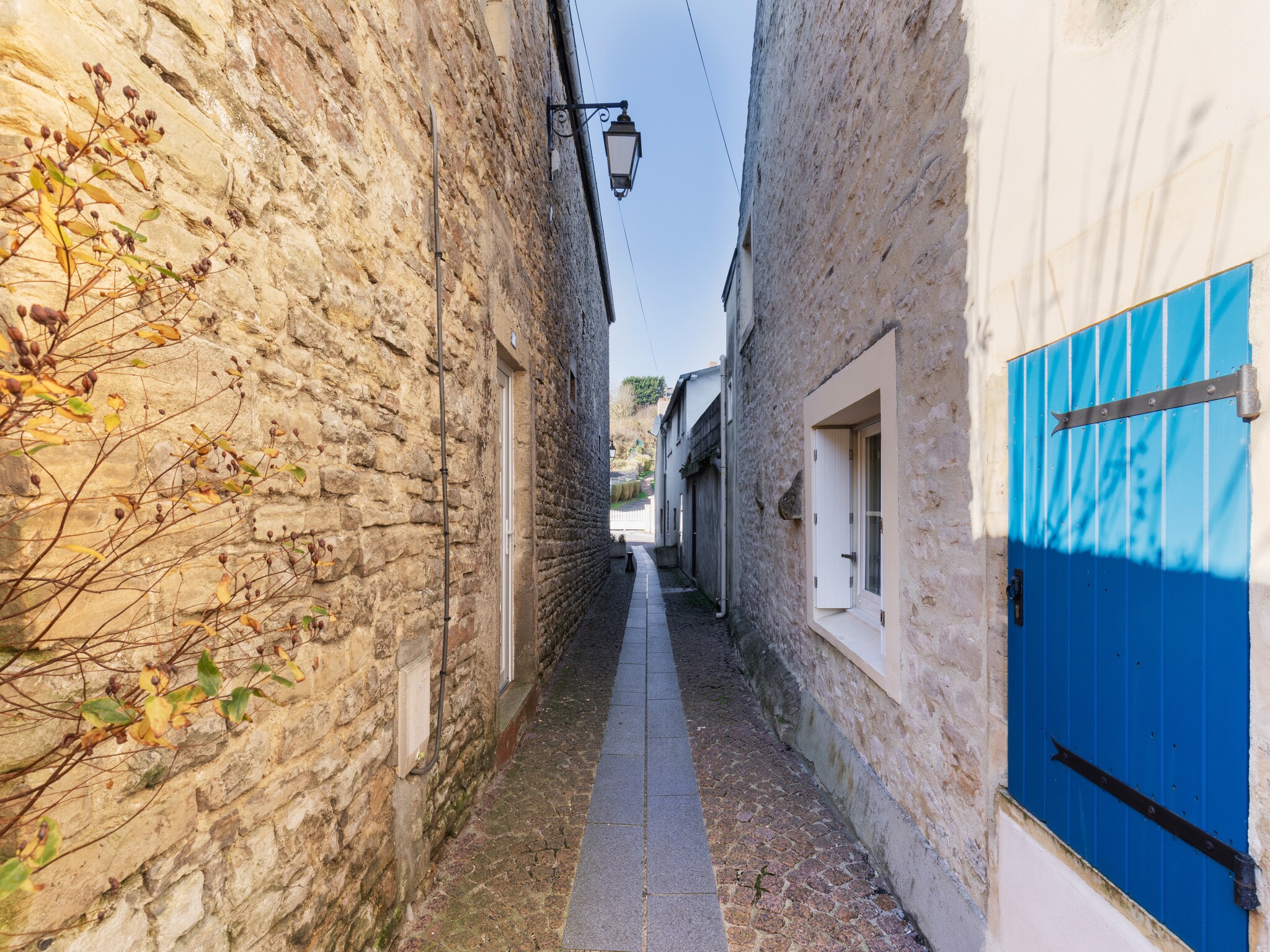   Maison de ville Pluto