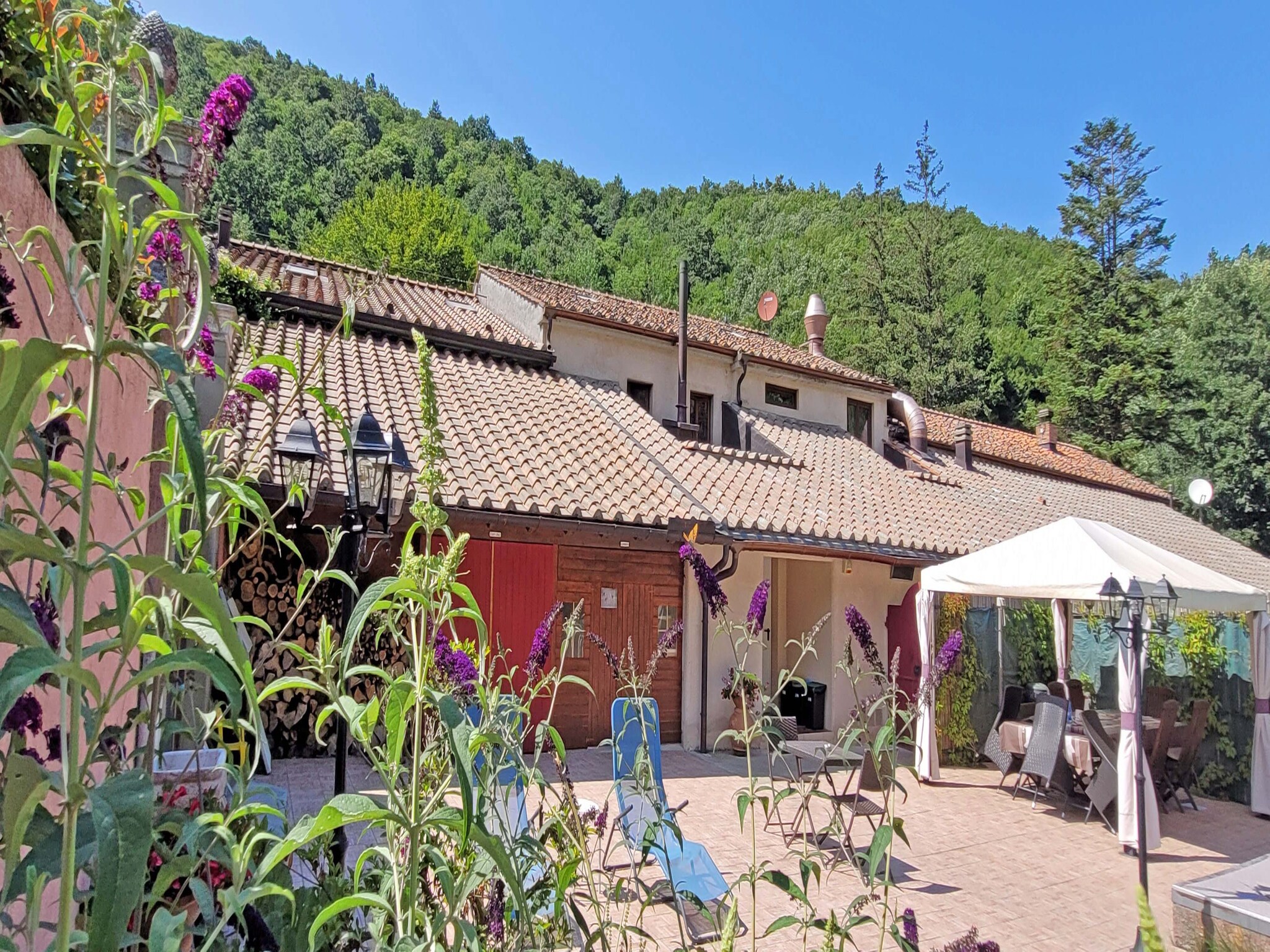   Insieme in Panche