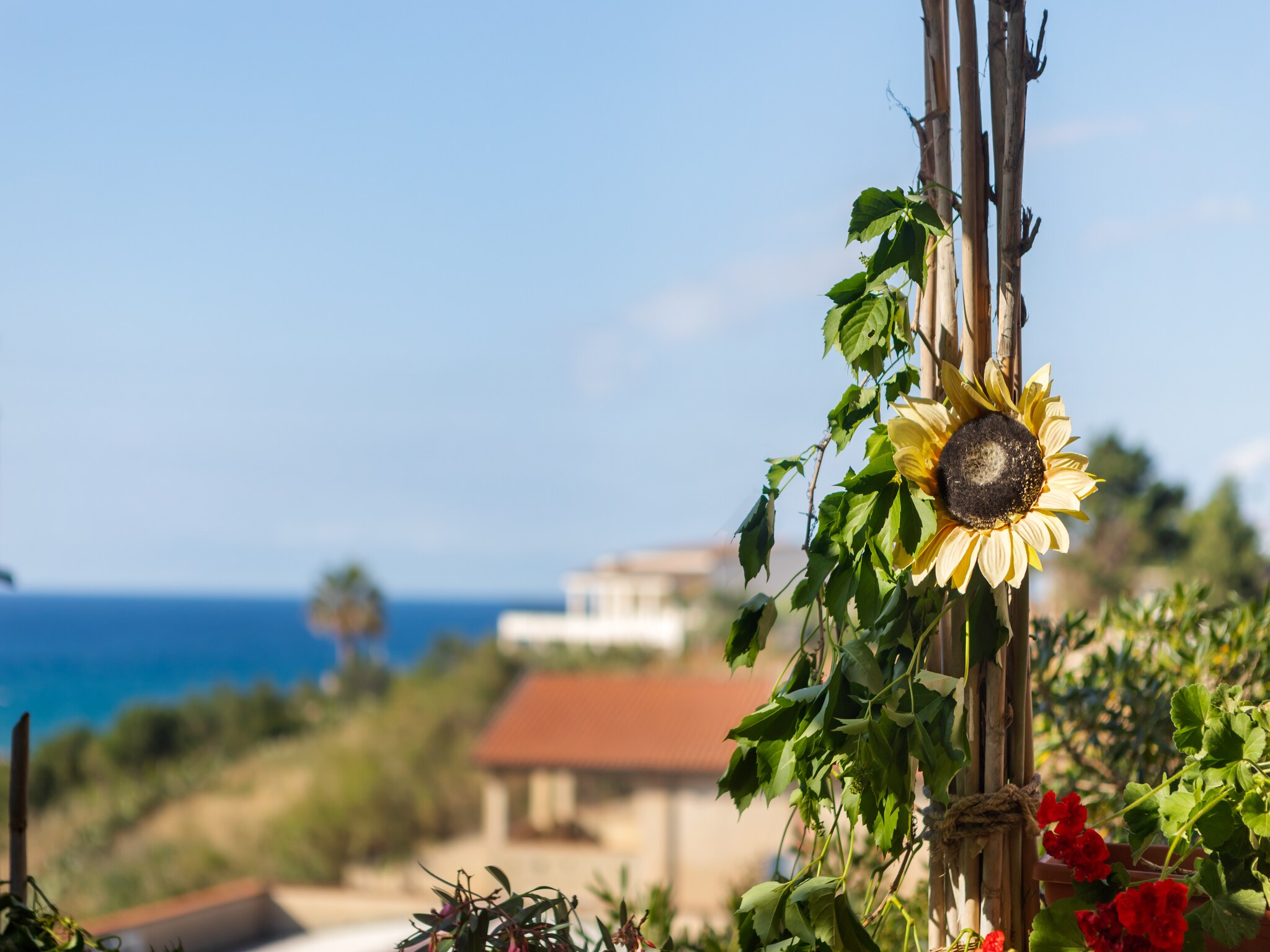   Casa Vacanza Violisa