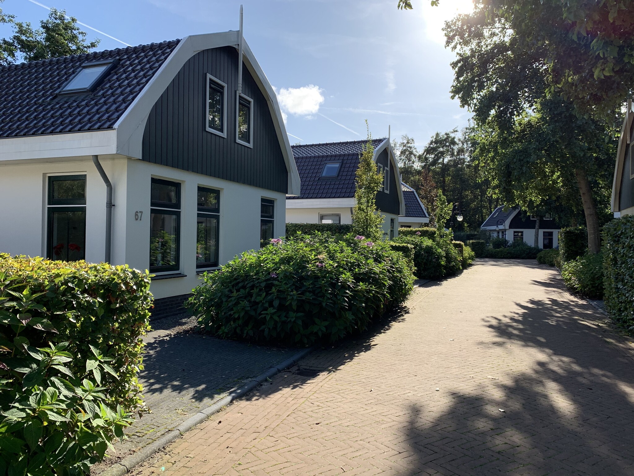   Resort Koningshof 3