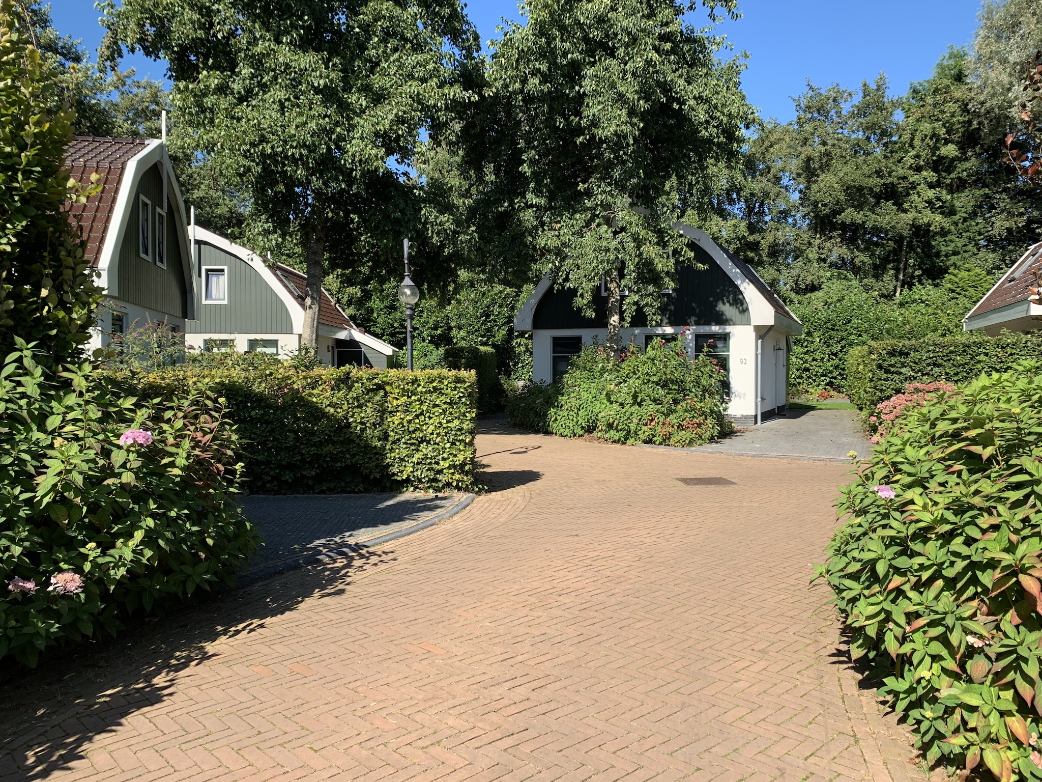   Resort Koningshof 3