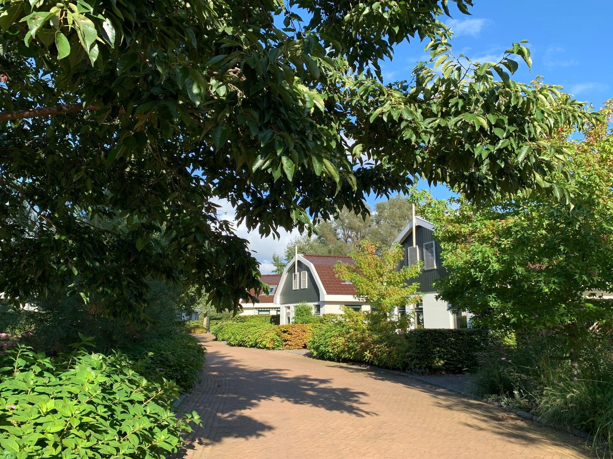   Resort Koningshof 3