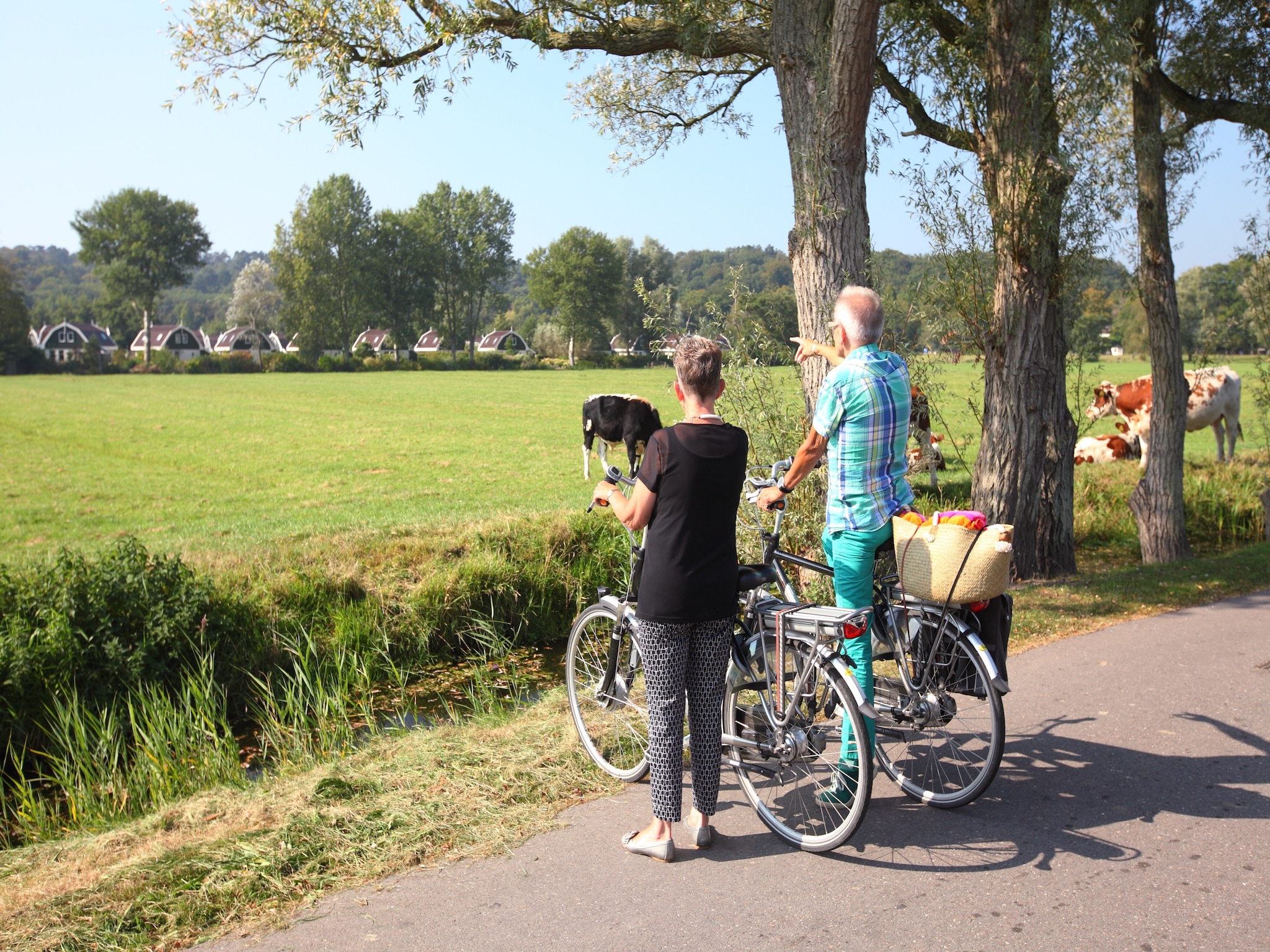   Resort Koningshof 6