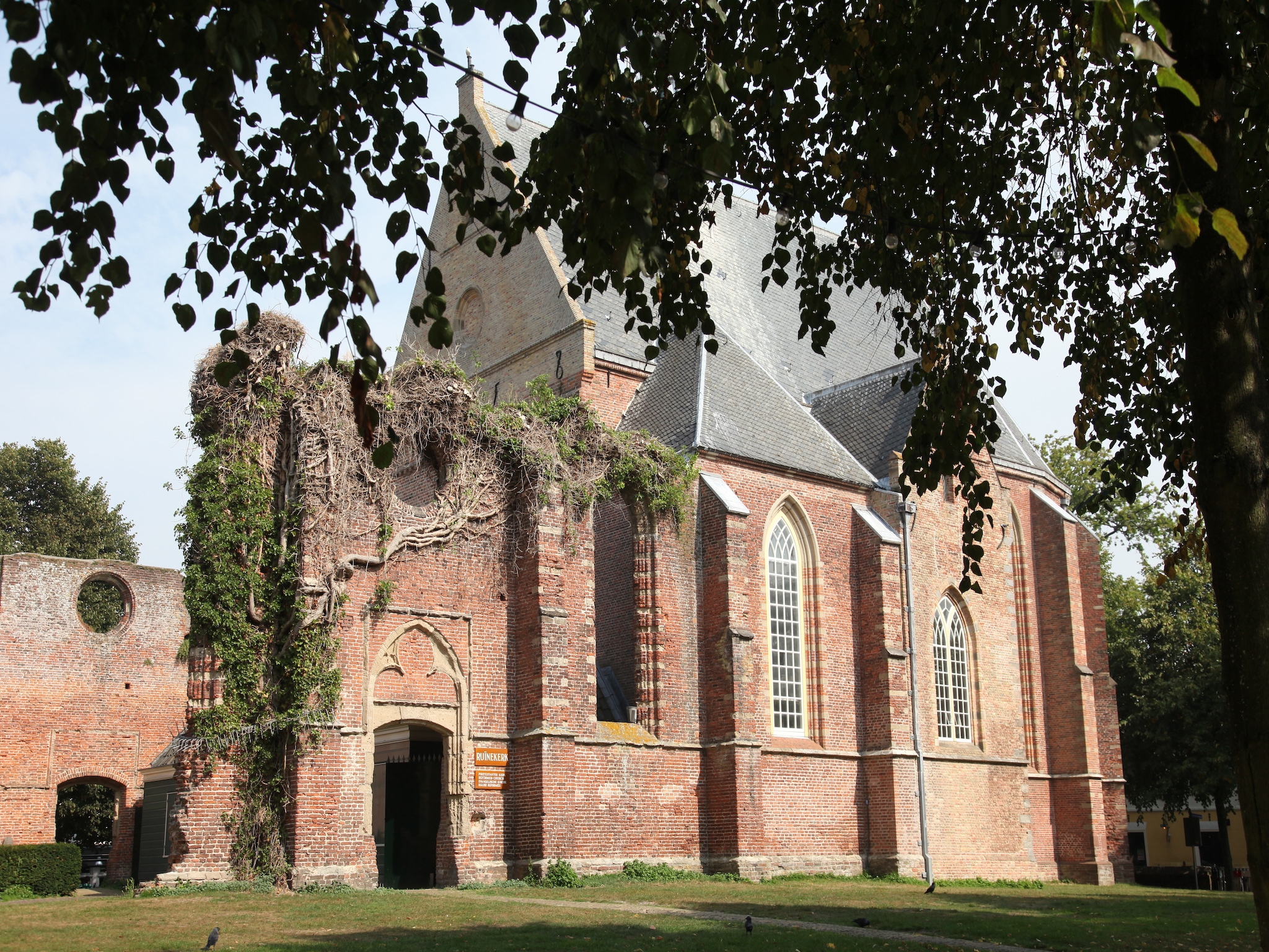   Resort Koningshof 6