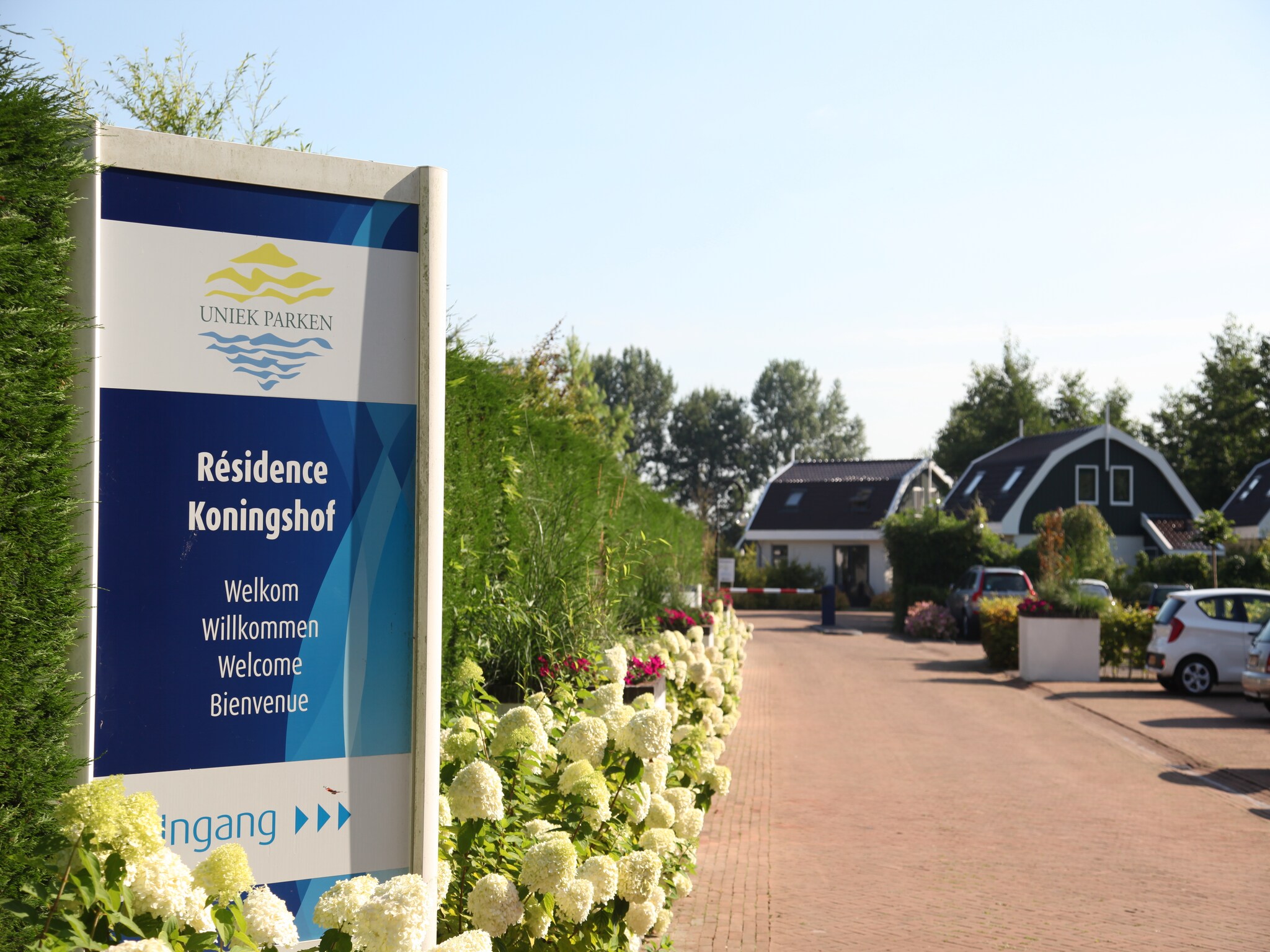   Resort Koningshof 6