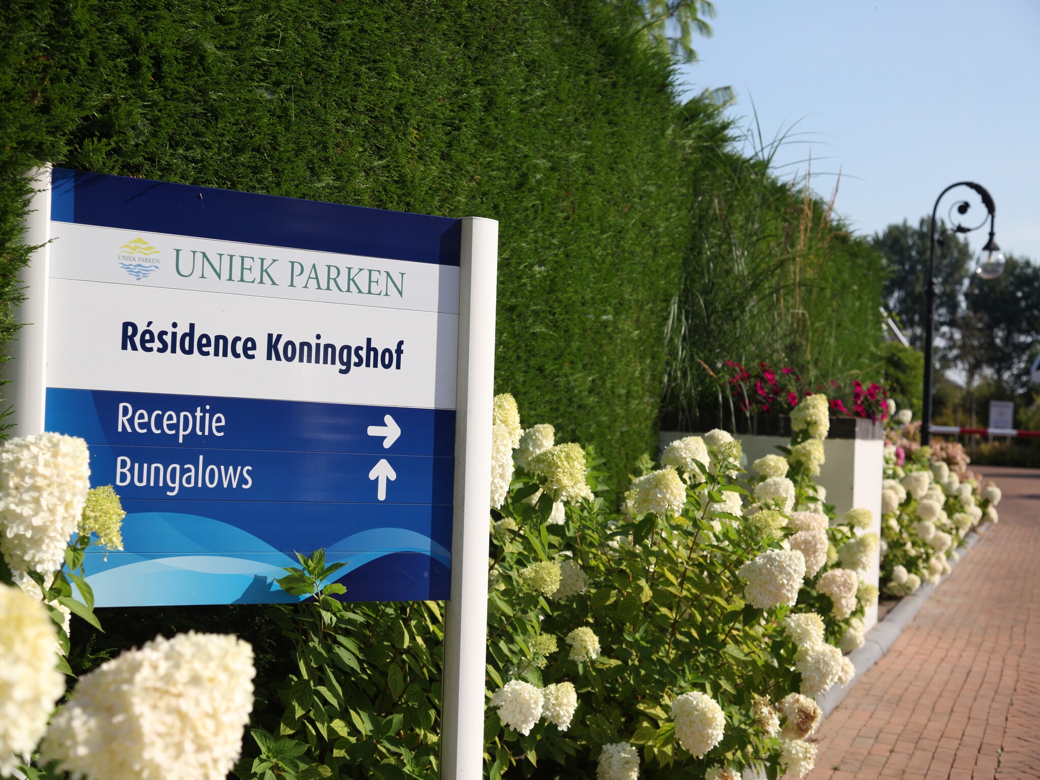   Resort Koningshof 6