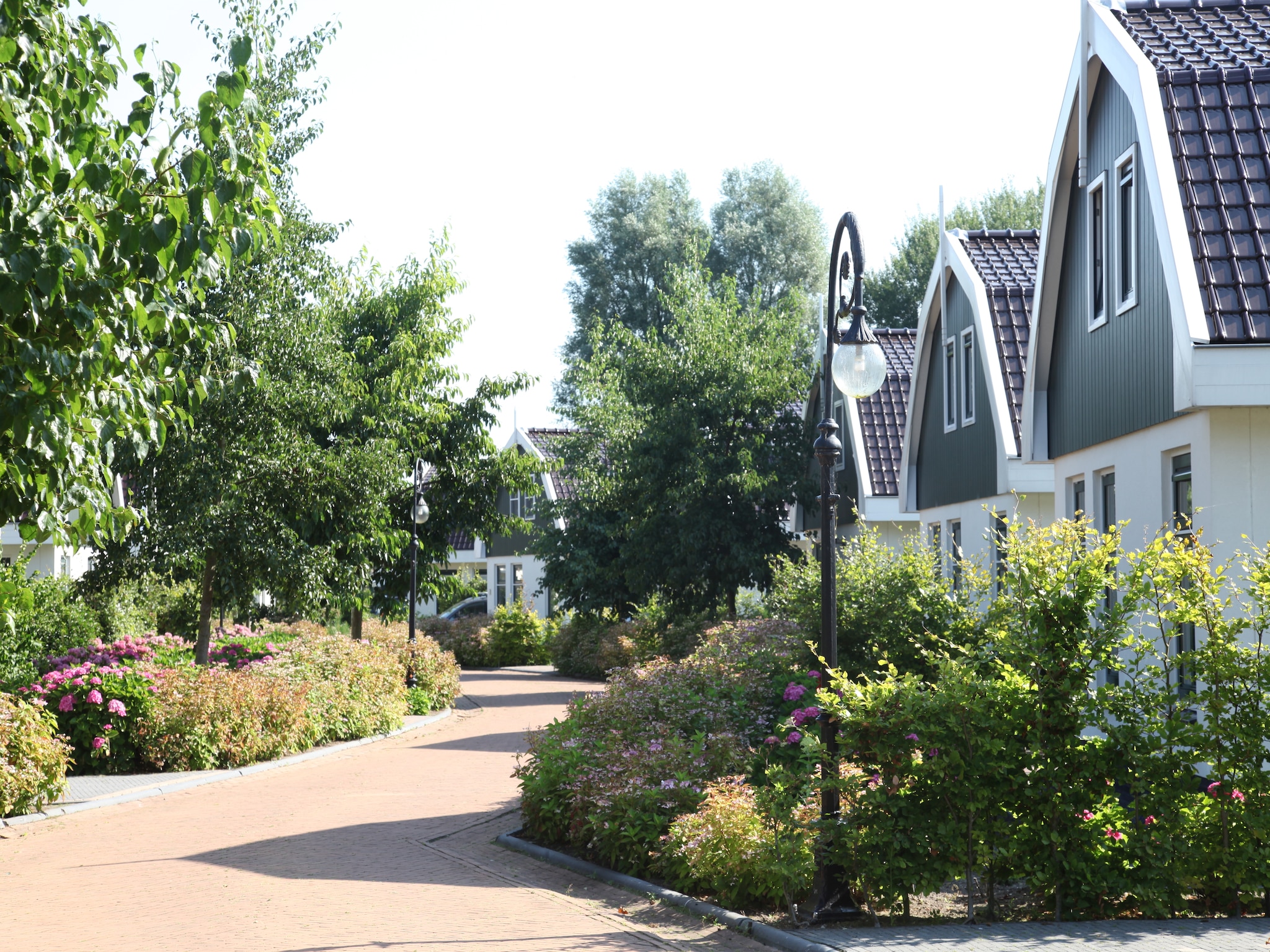   Resort Koningshof 6
