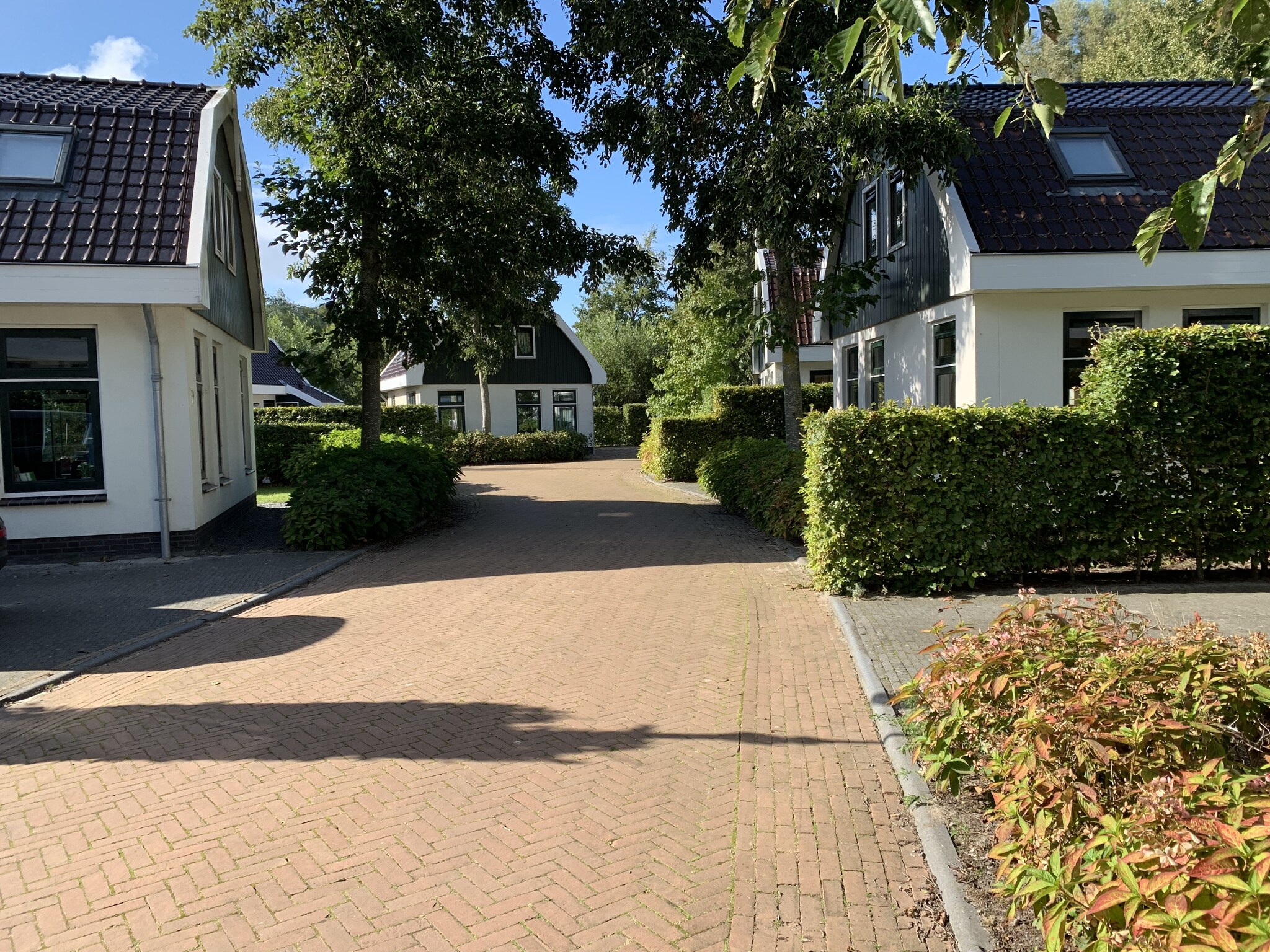   Resort Koningshof 6