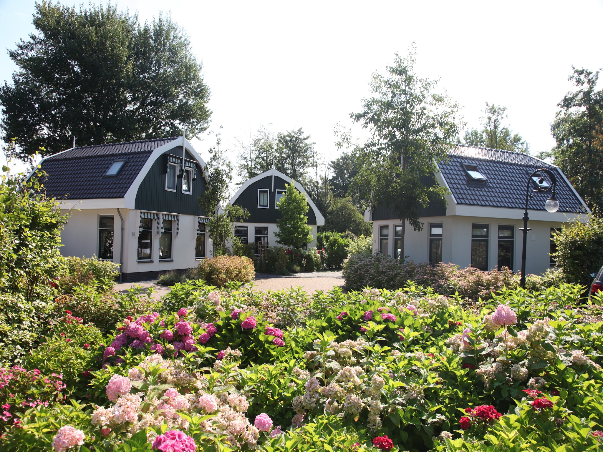   Resort Koningshof 6