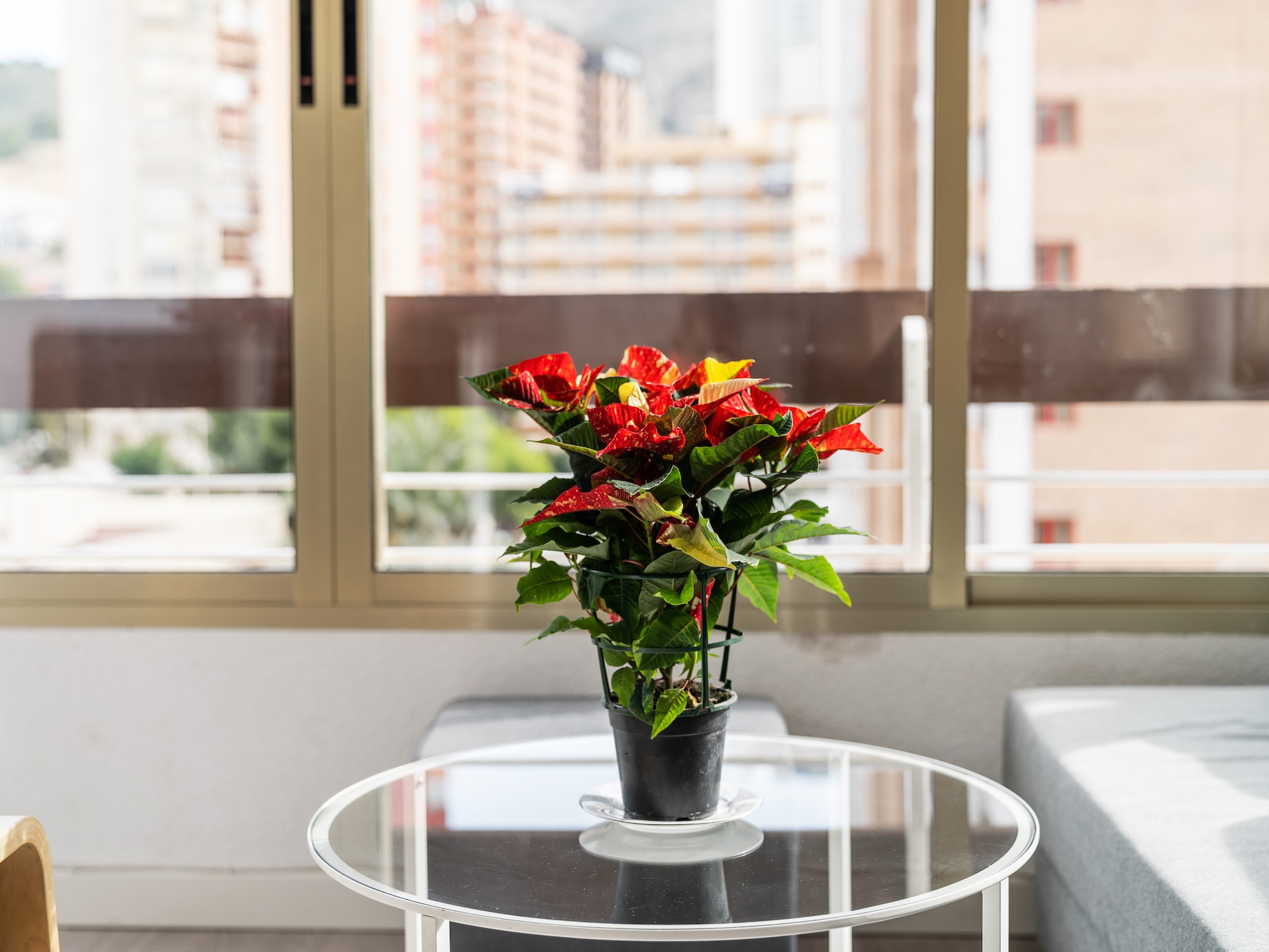 Apartment Benidorm