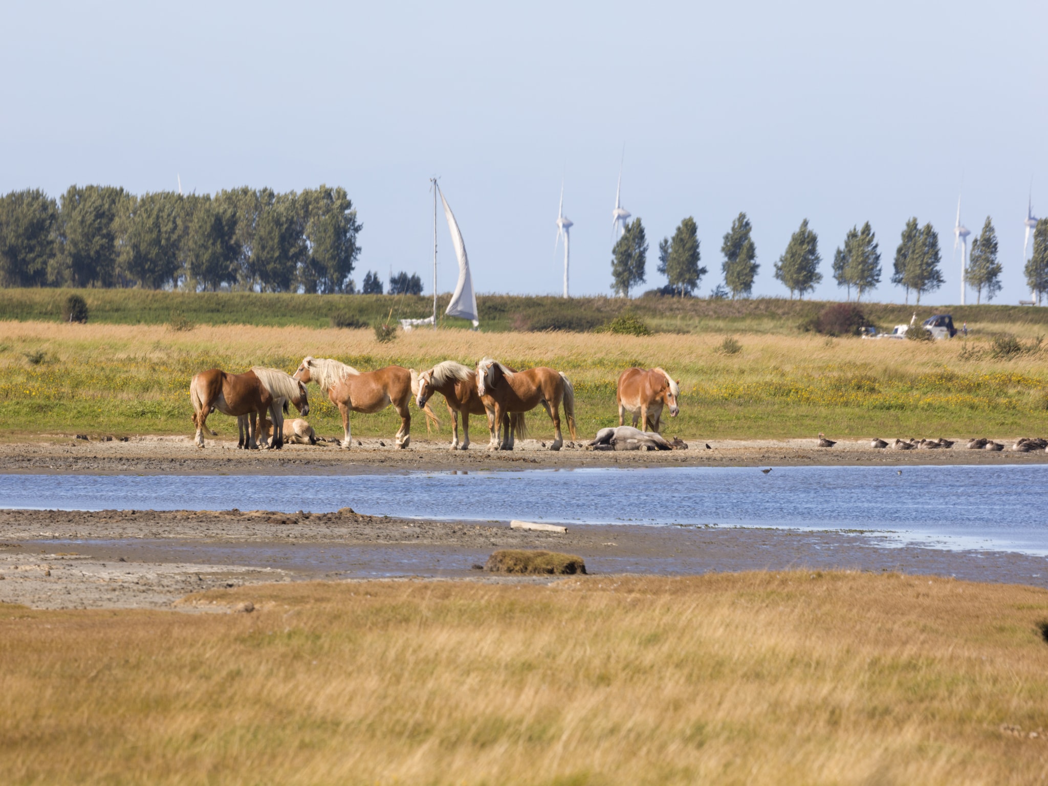 Vacation home Domein het Camperveer Veerse Meer 4