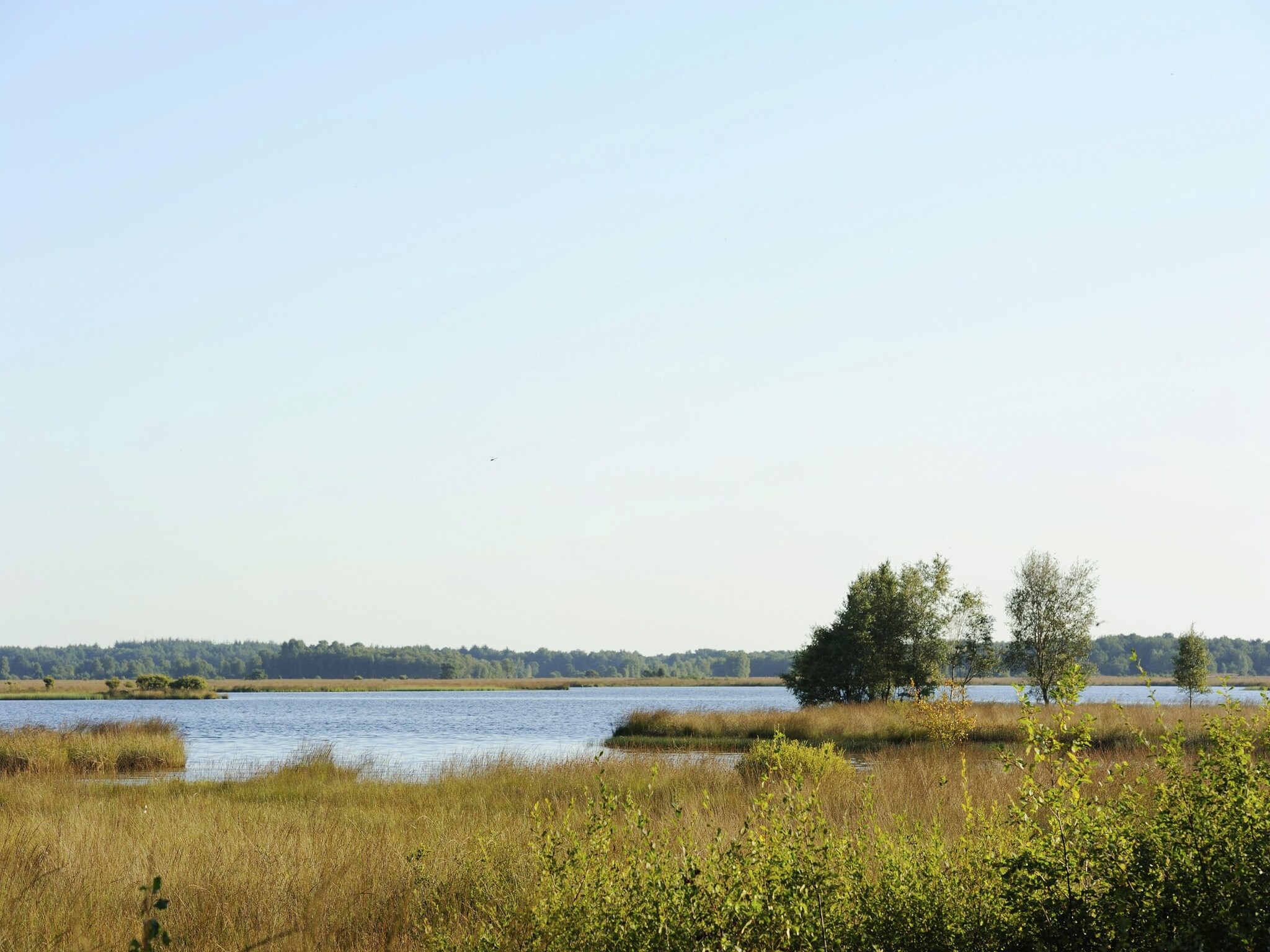   RCN Vakantiepark de Noordster 10