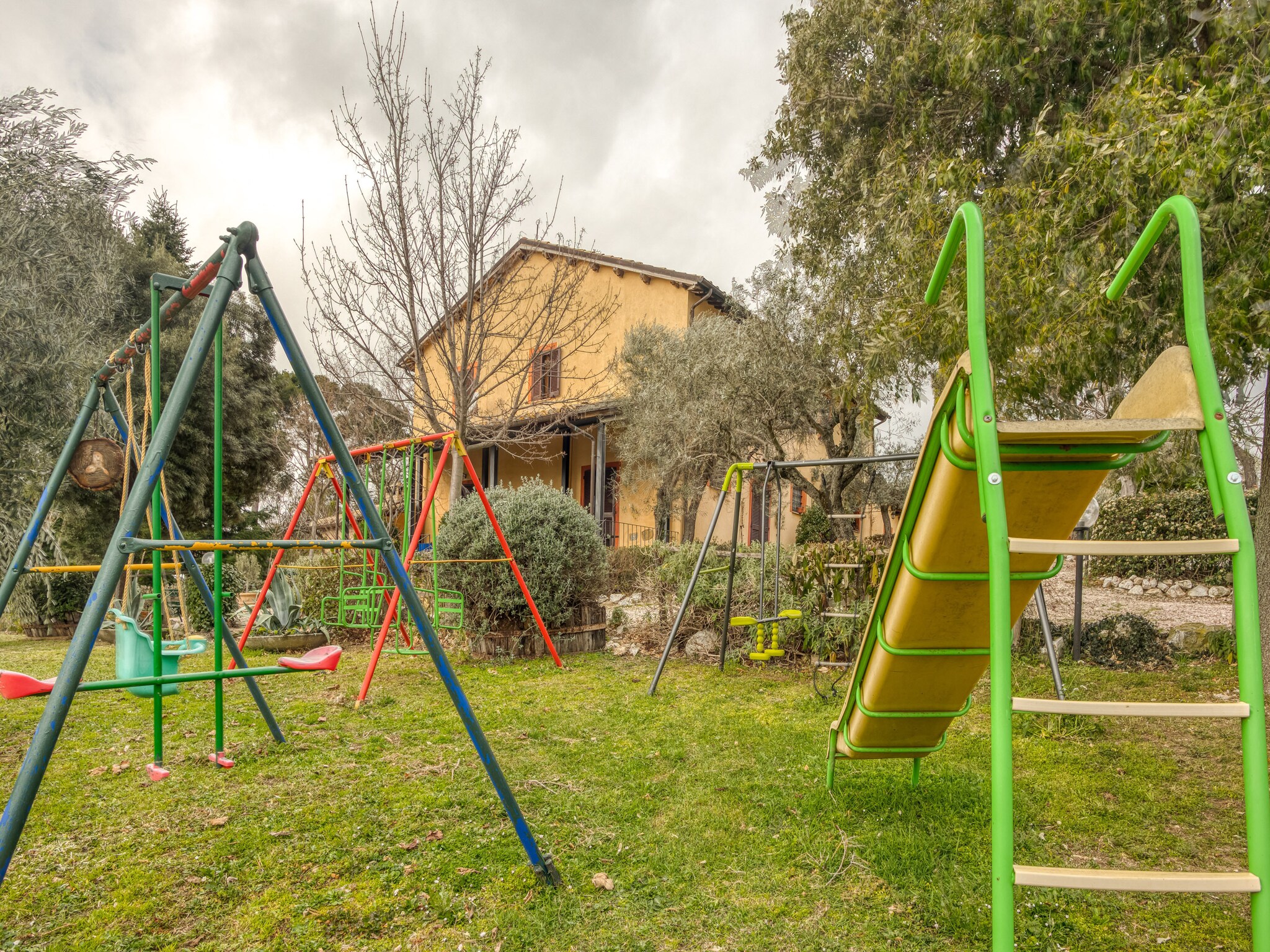   Il Grappolo e la Rosa