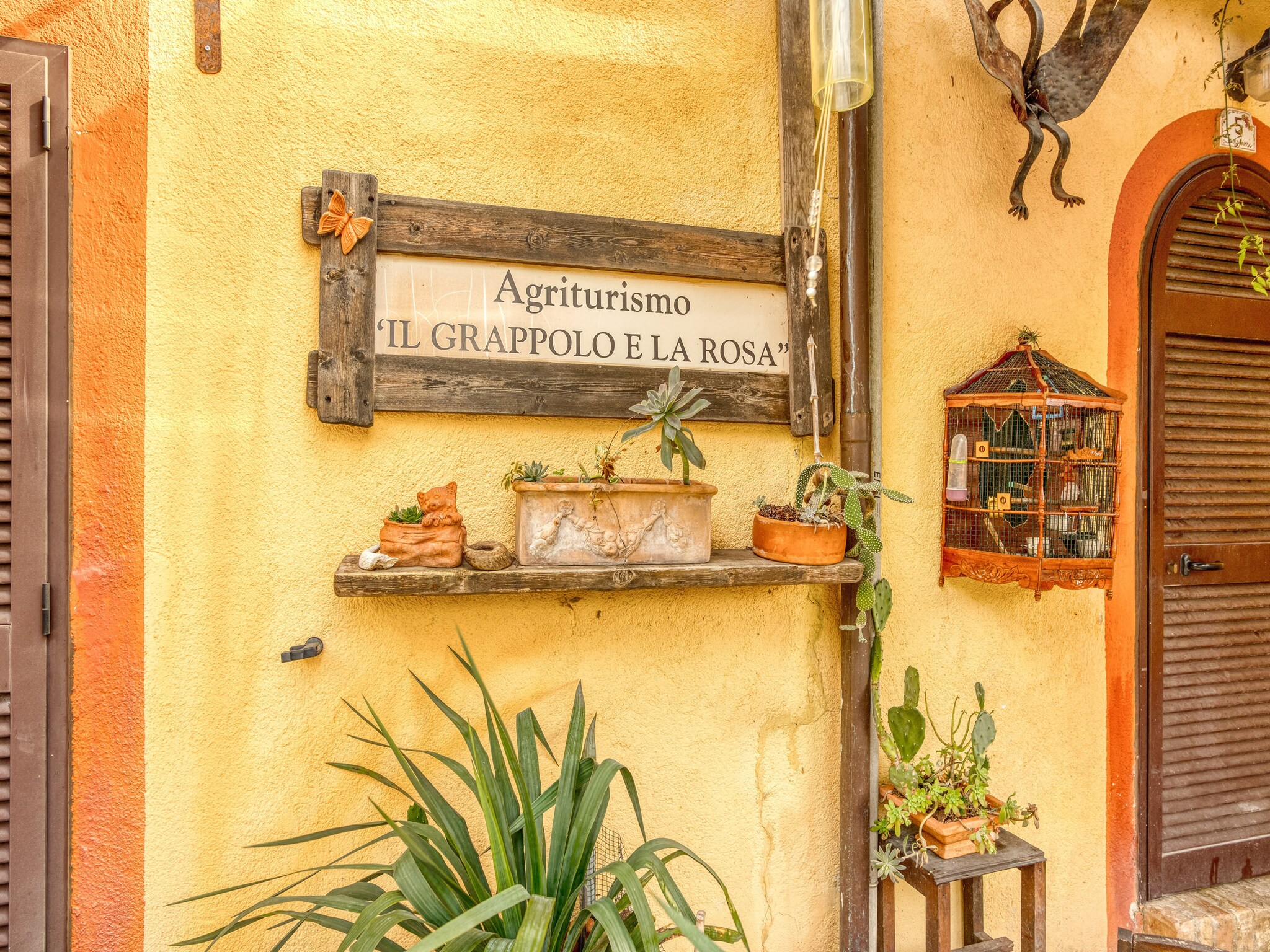   Il Grappolo e la Rosa
