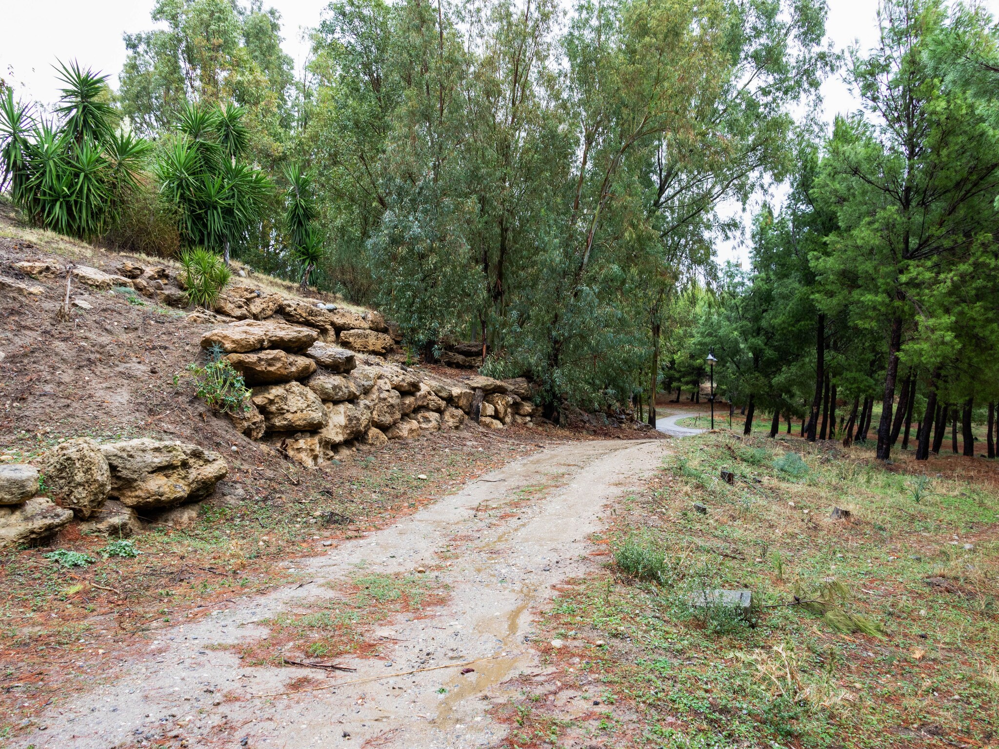   Villetta Arocha