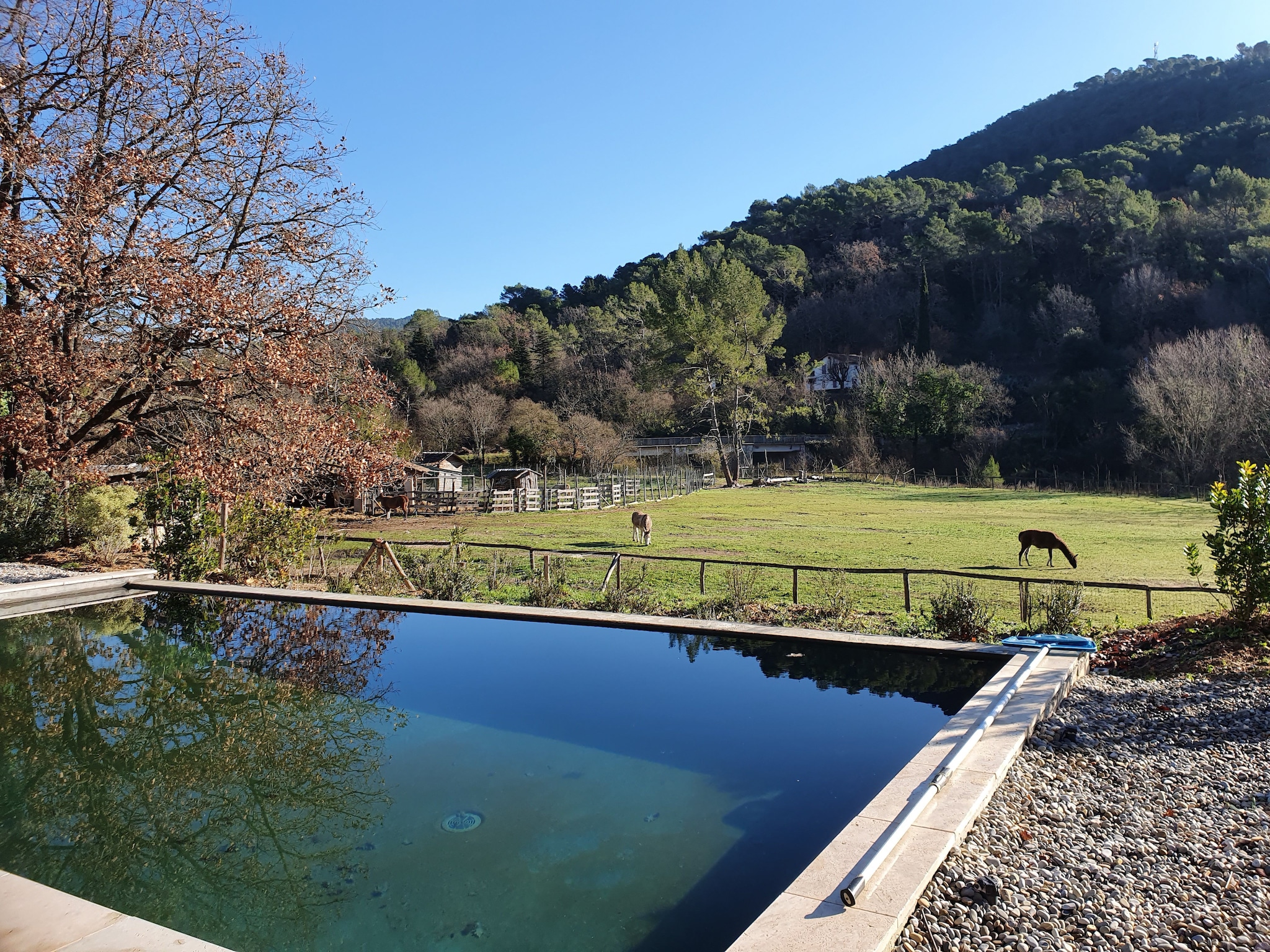 Semesterhus Villa Mopane